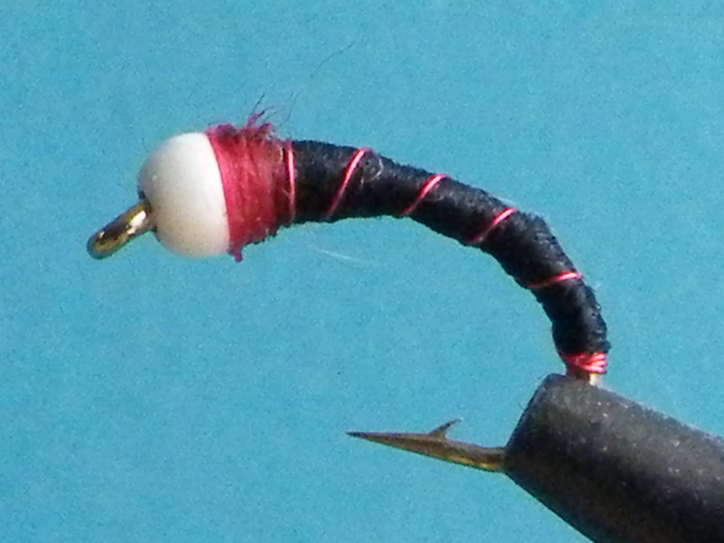 Chan's Chironomid Pupa(1).JPG