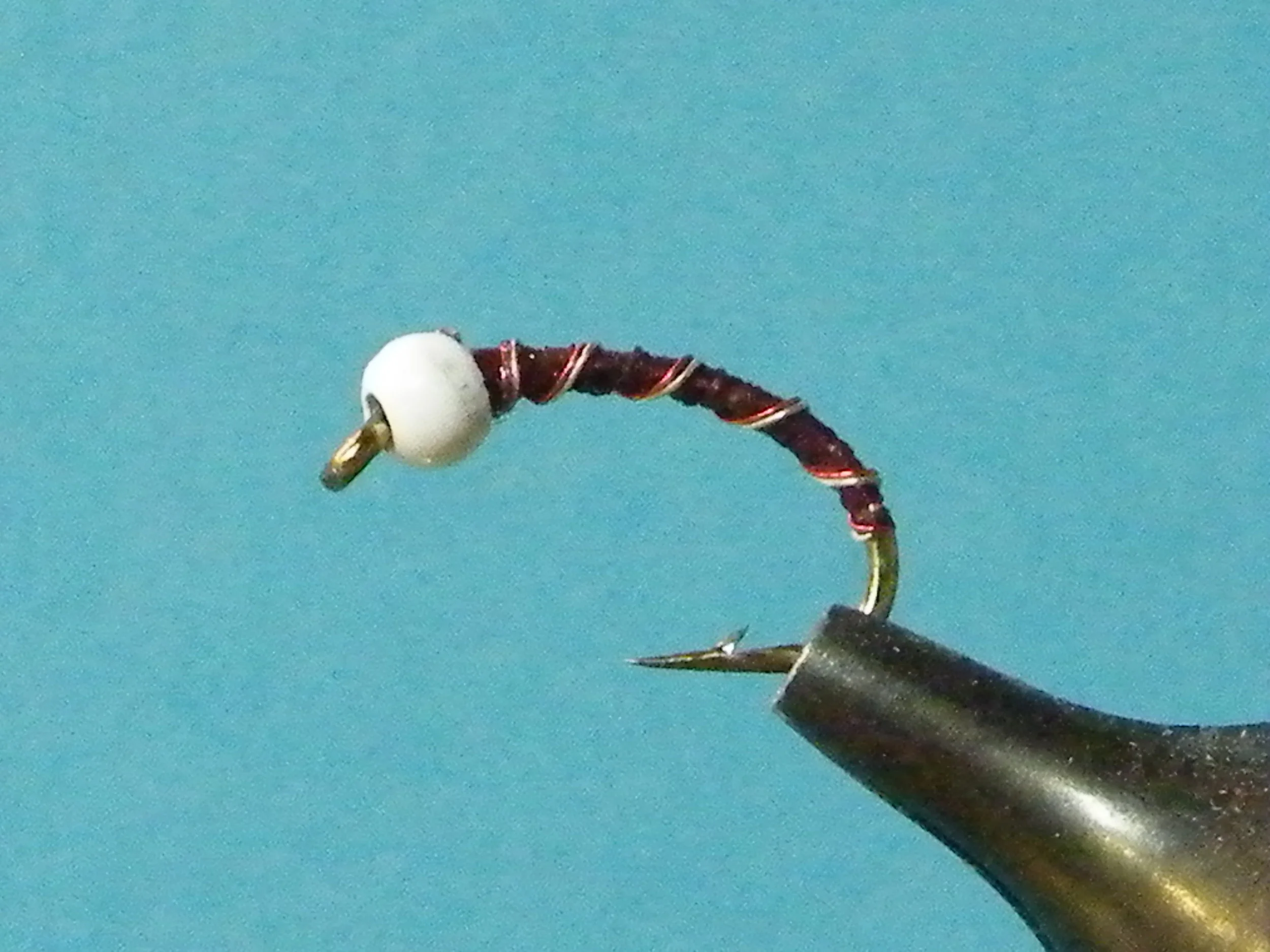 Maroon Bomber Chironomid(1).JPG