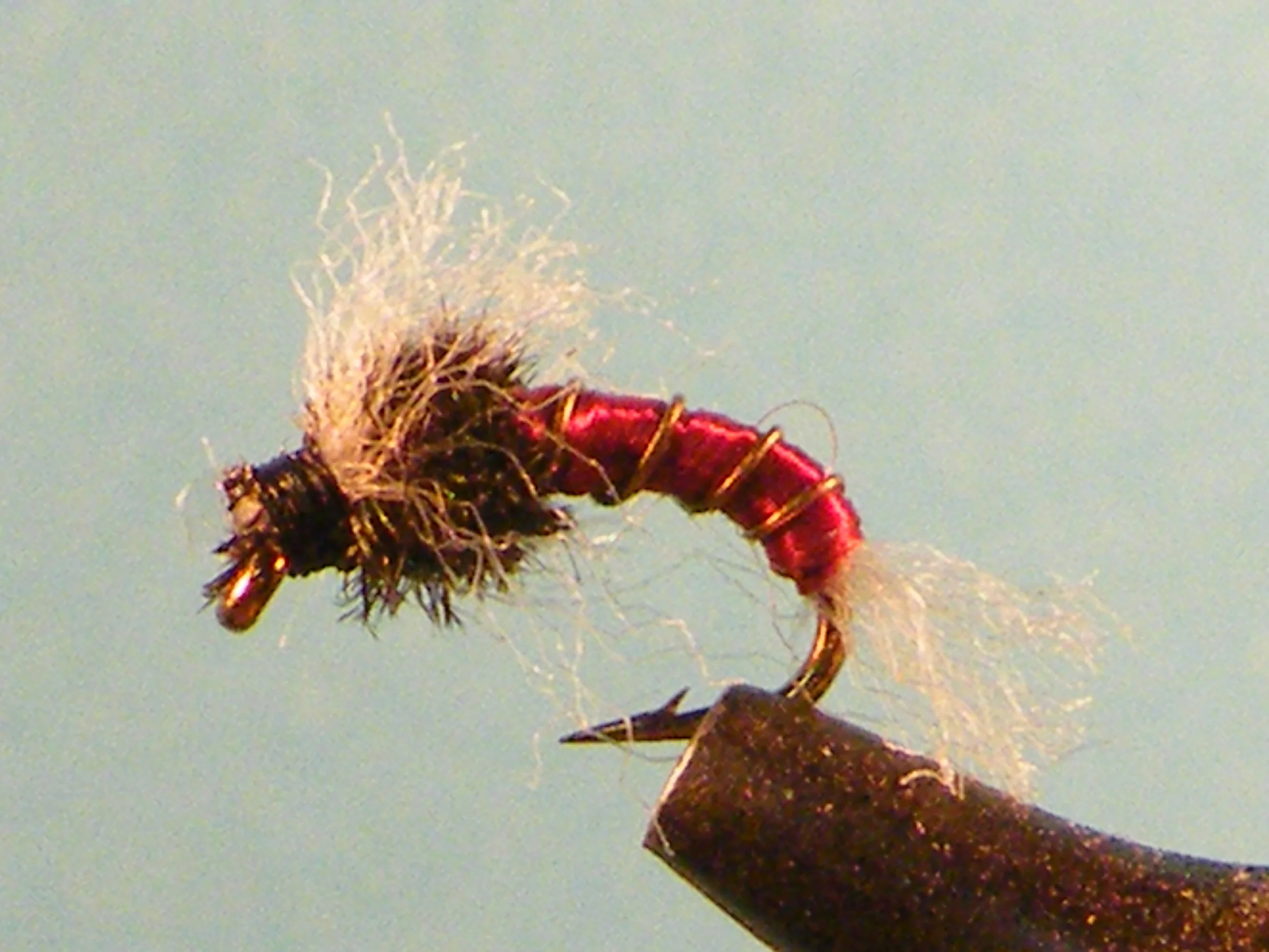 Red Frostbite Chironomid(1).JPG