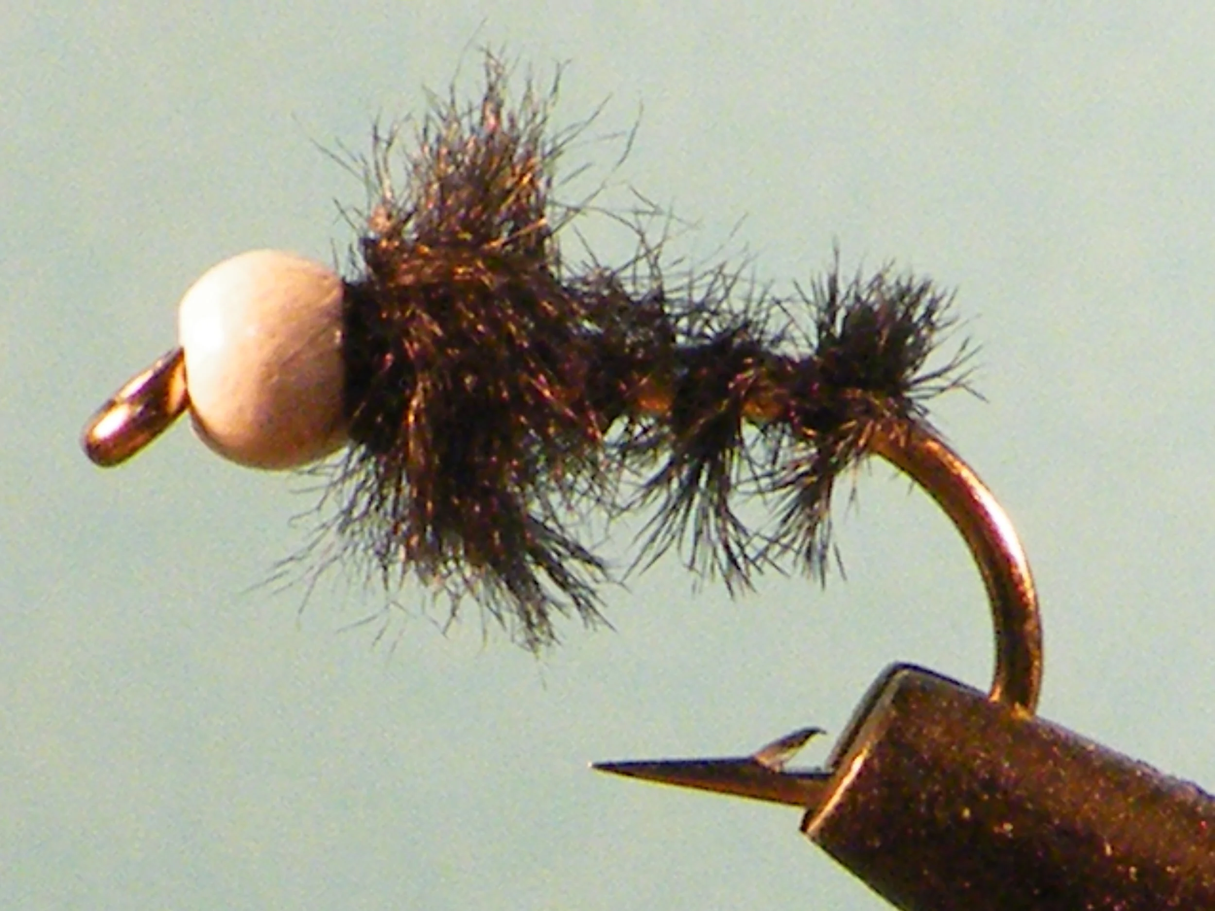 Sno Cone Chironomid (1).JPG