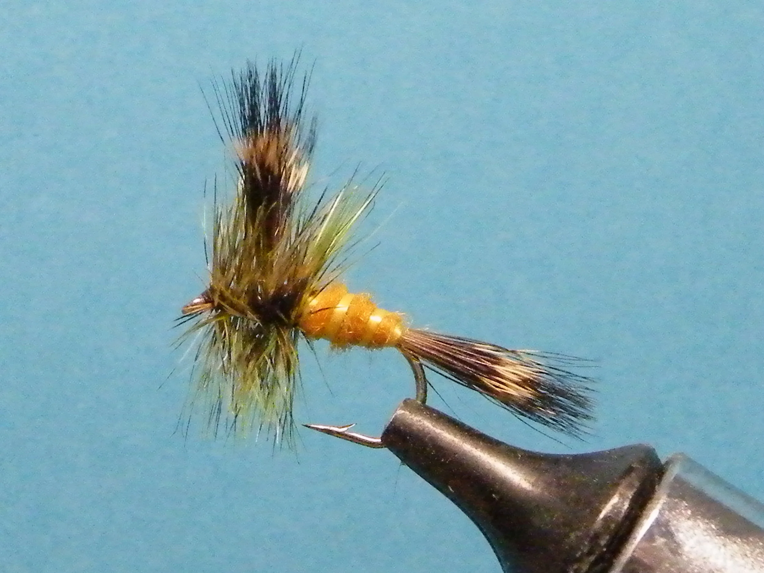 DSCF5933 GREEN DRAKE ORANGE BODY.JPG