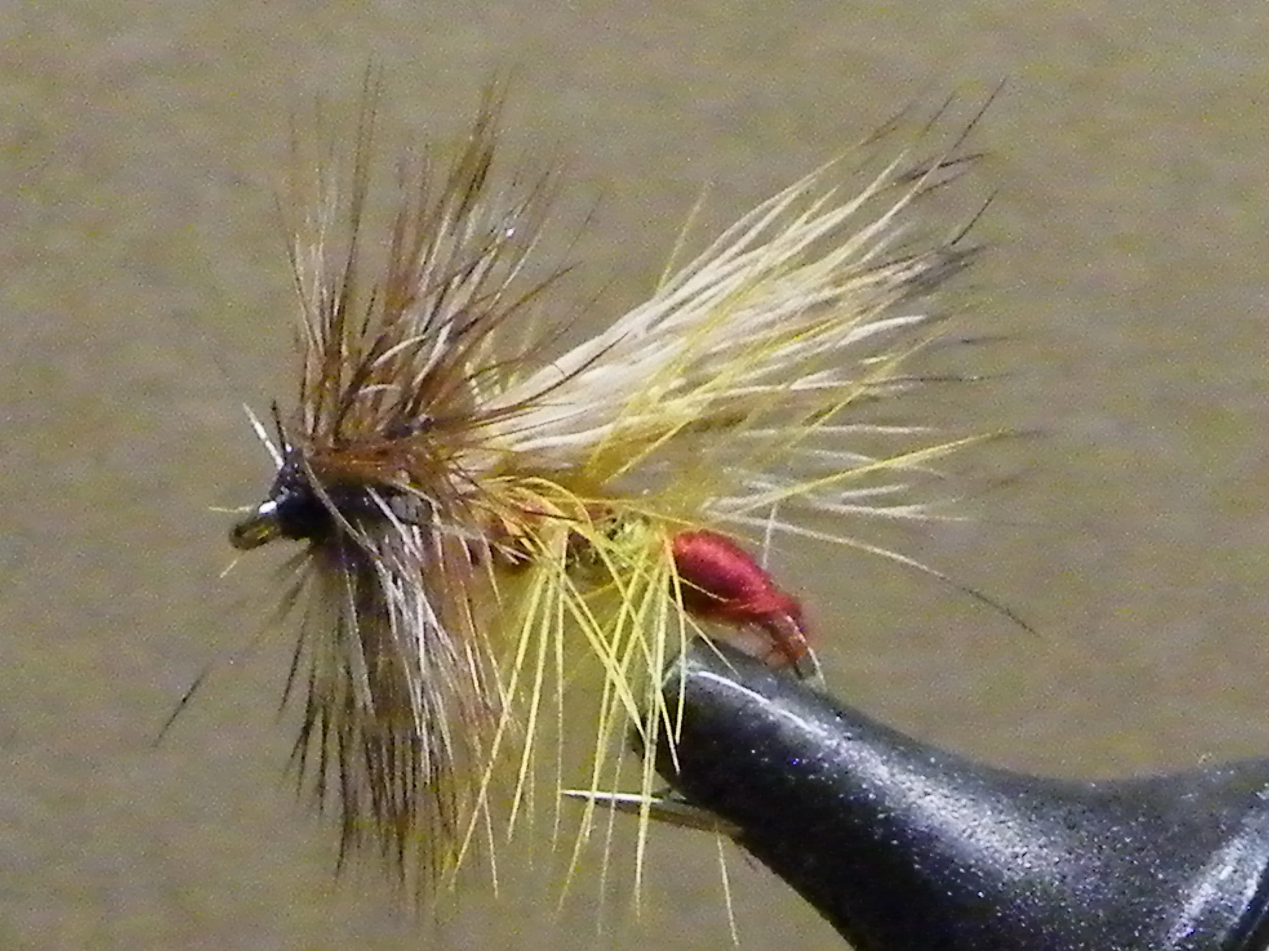 DSCF5943 HENRY'S FORK YELLOW SALLY.JPG