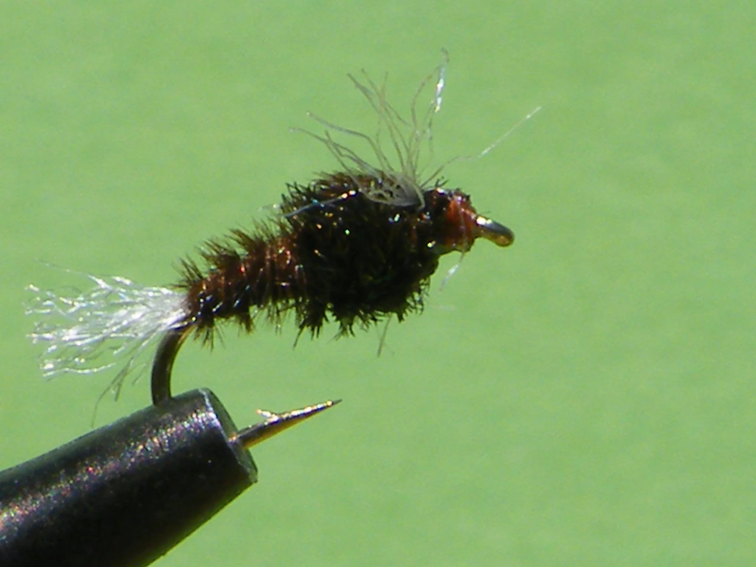 DSCF5781 Chan's Chironomid.JPG