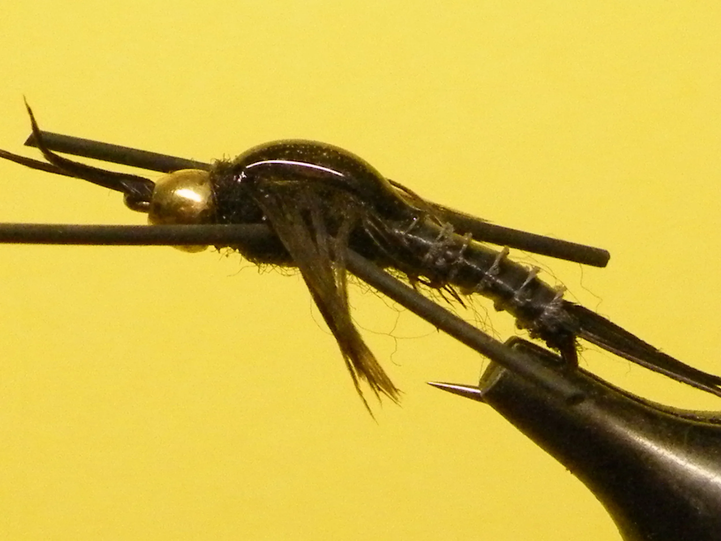 DSCF5952 Rubber Leg Poxyback Stonefly Nymph.JPG