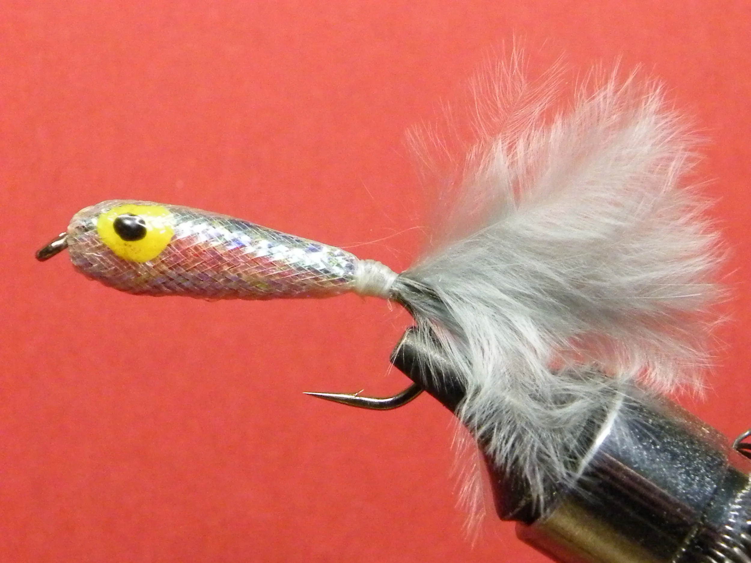 DSCF5956 Epoxy Minnow.JPG