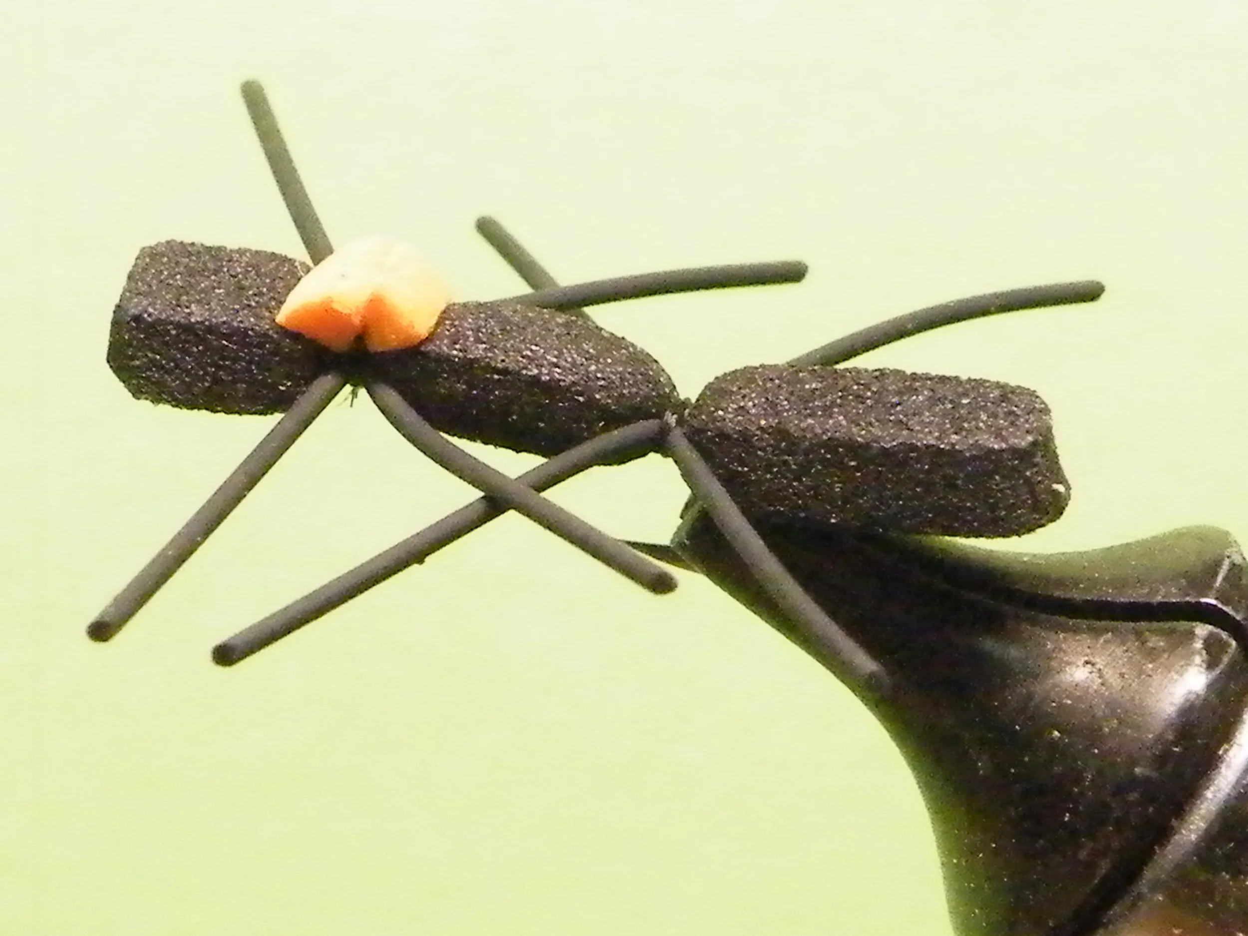 DSCF5969 Mini Chernobyl.JPG