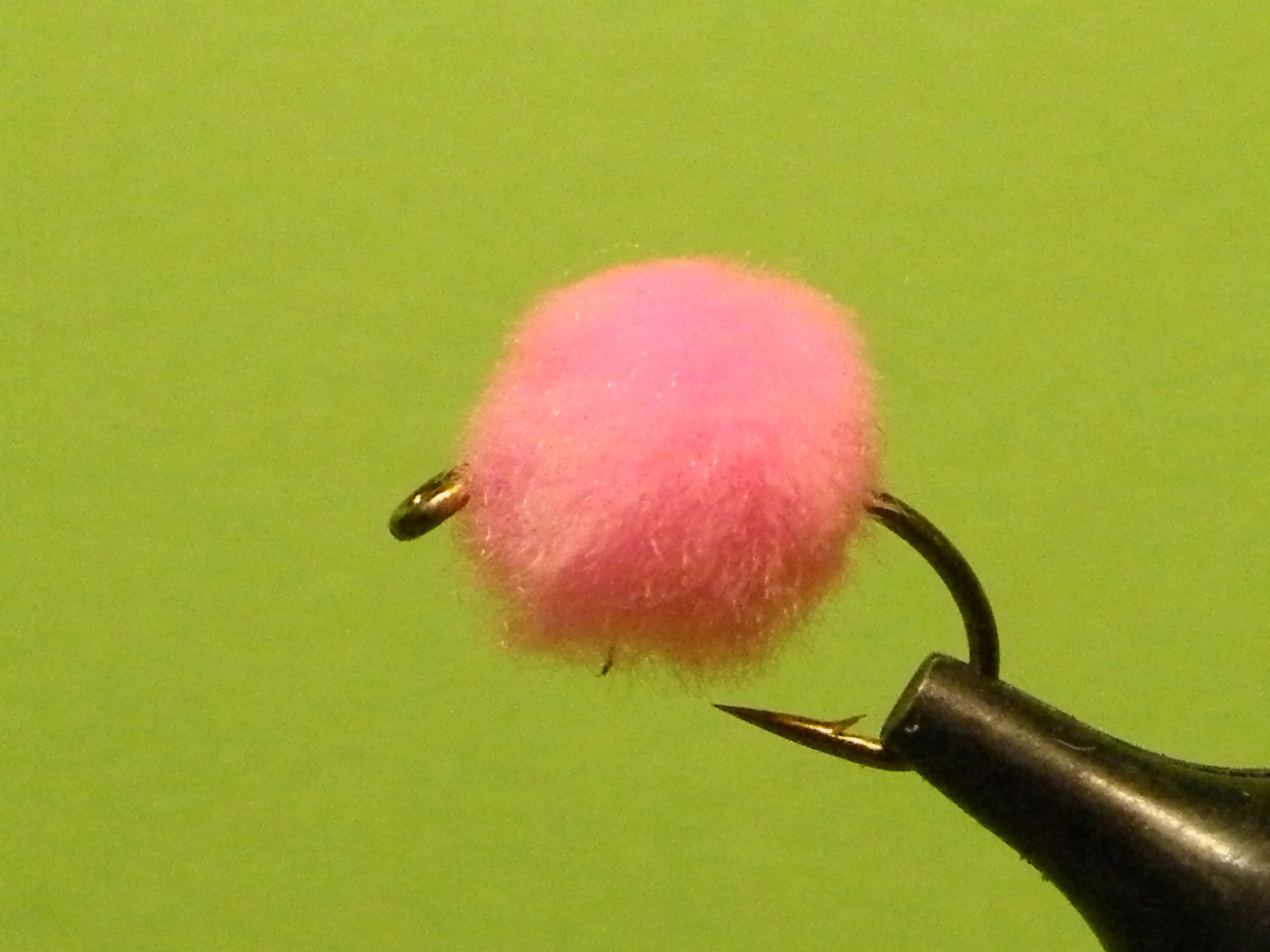 DSCF5971 Pink Glo Bug.JPG