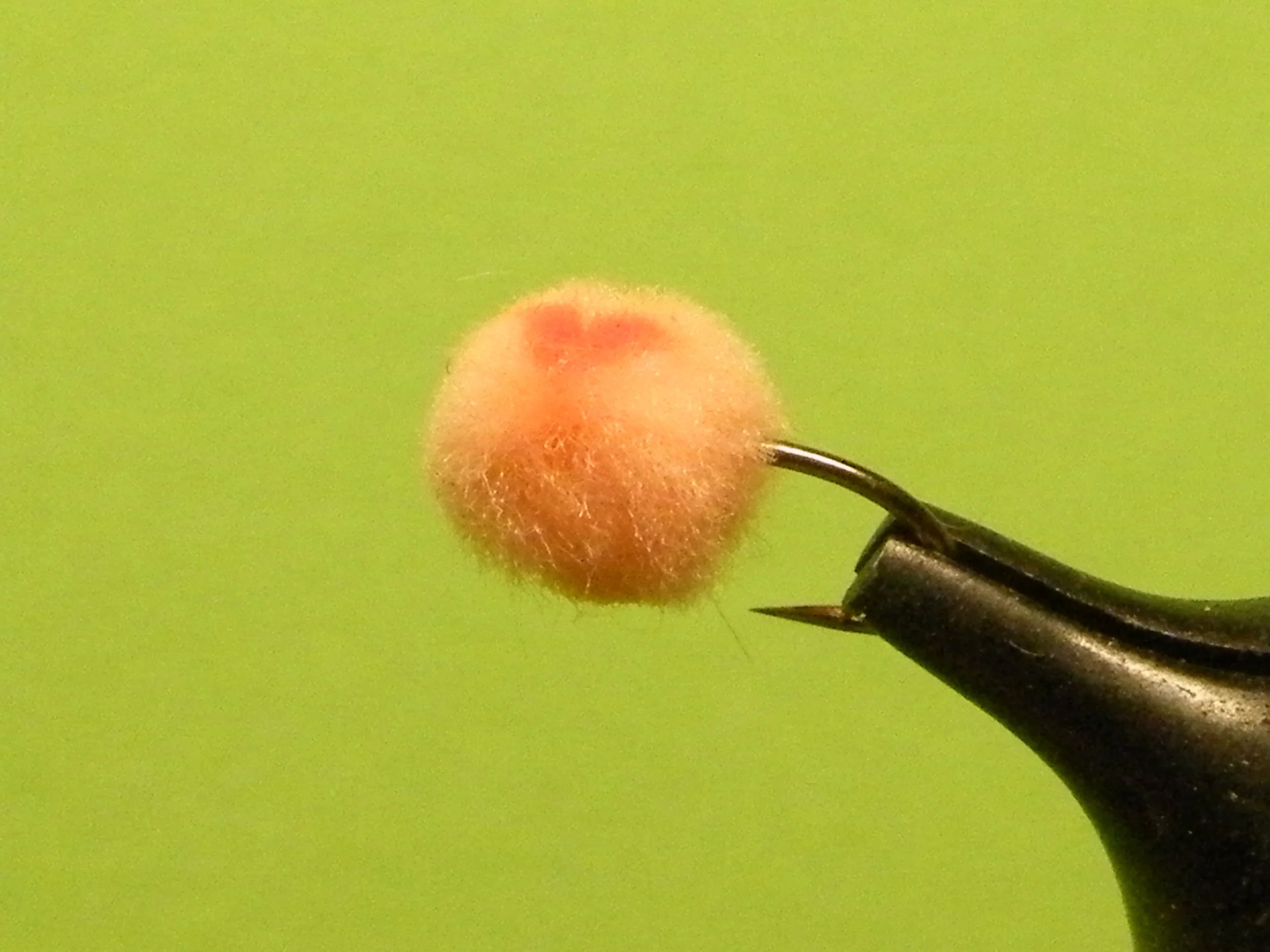 DSCF5973 Orange Glo Bug with Blood Spot.JPG