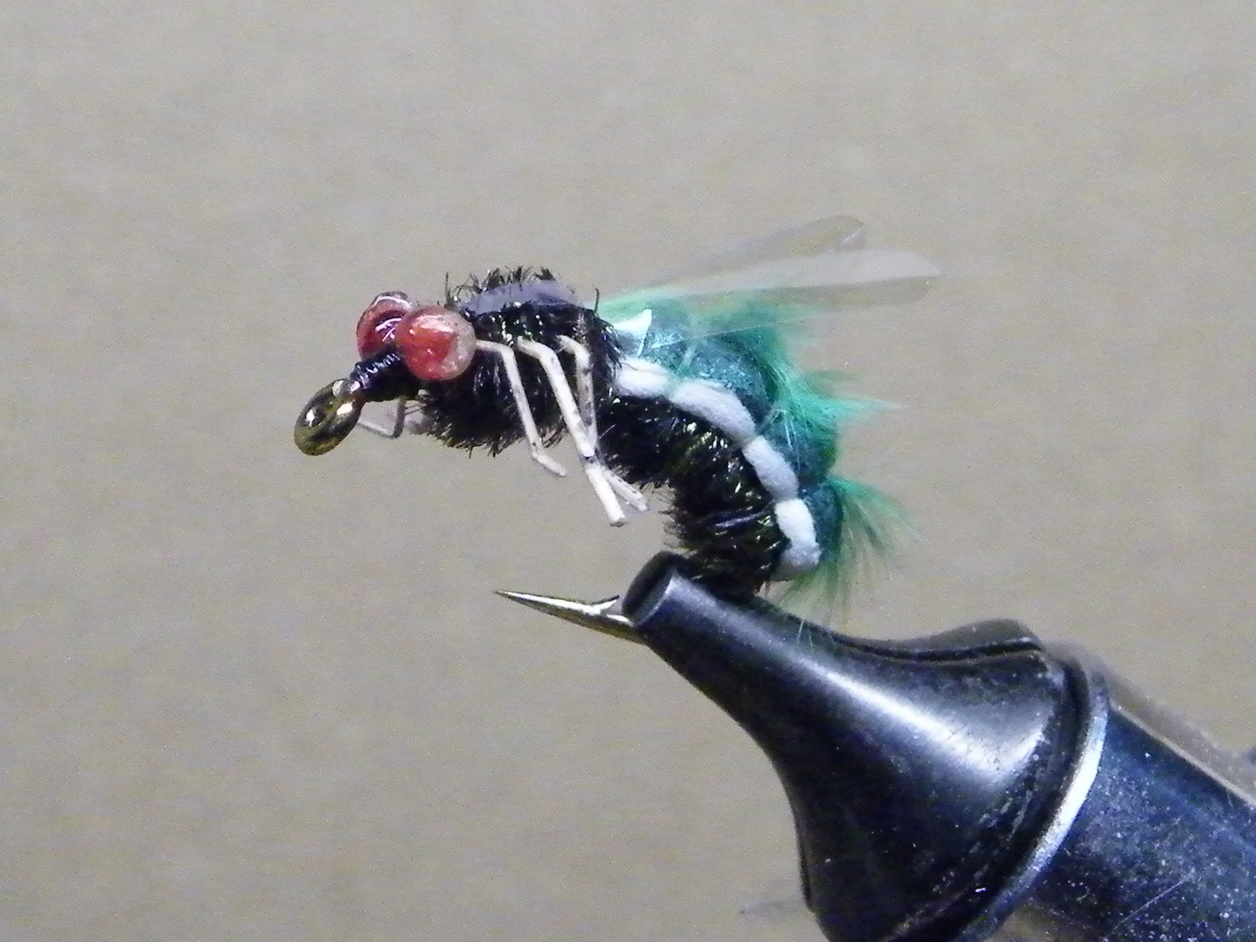 House Fly DSCF5996.JPG