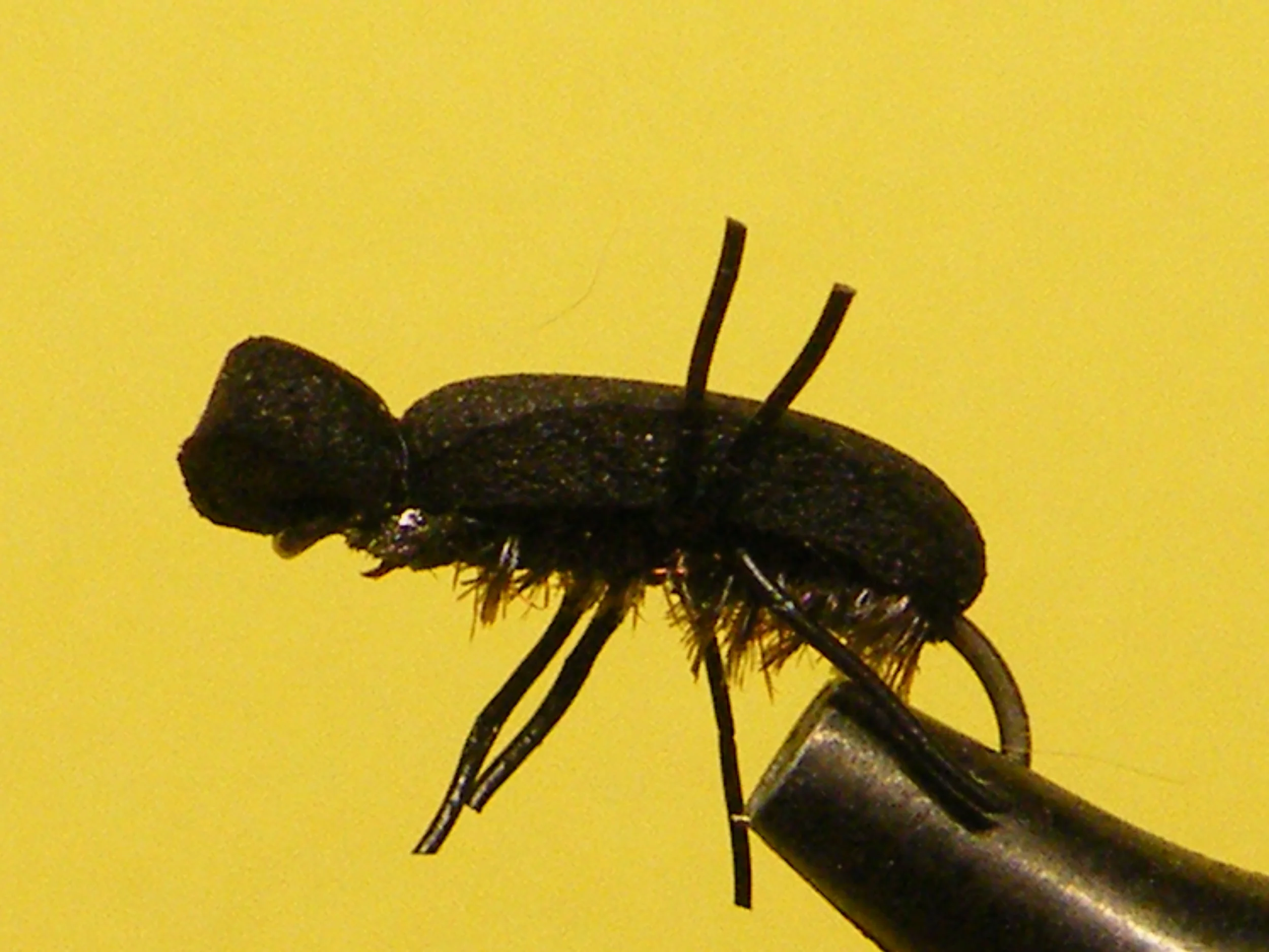 DSCF5951.JPG