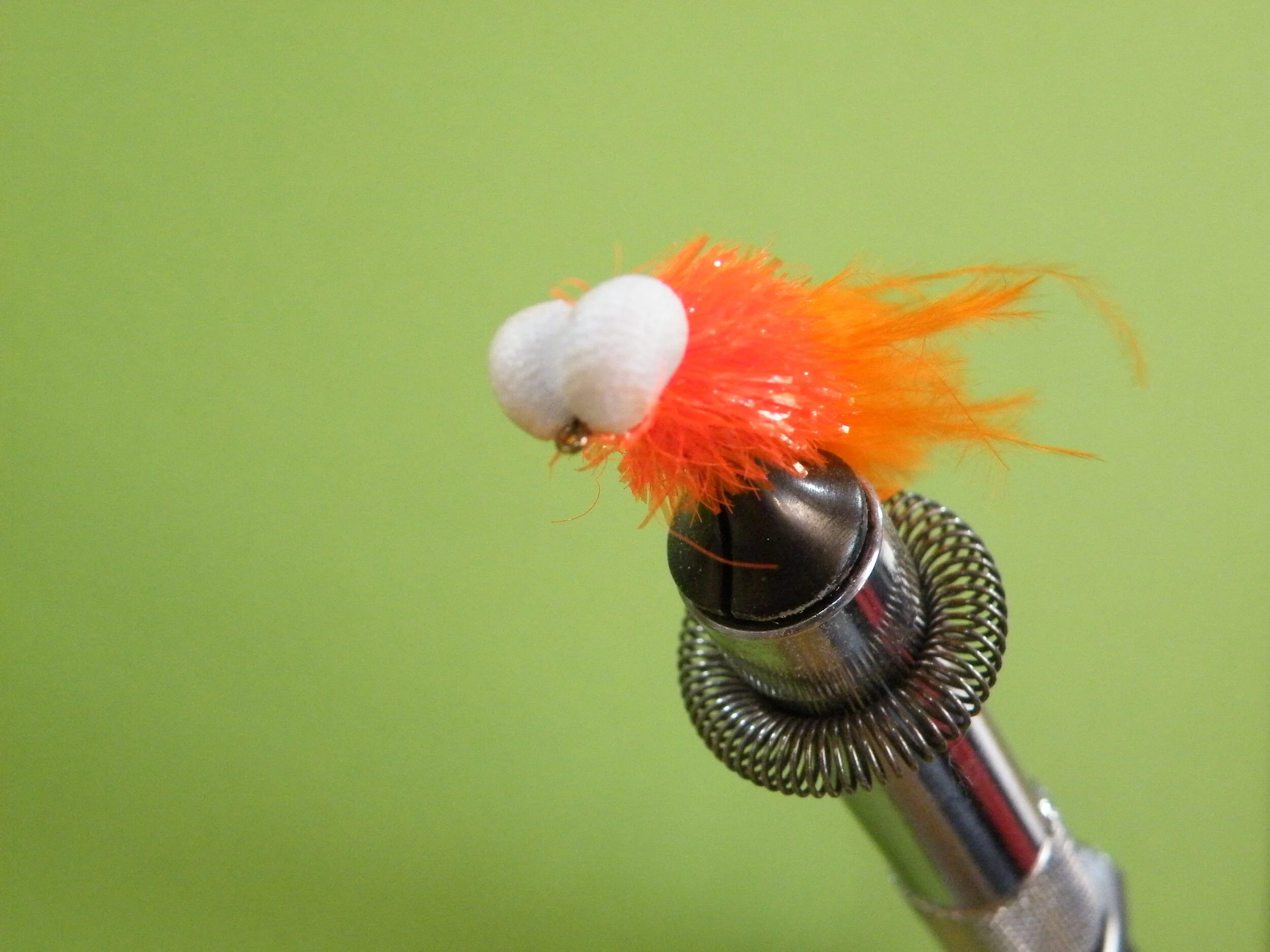 DSCF6043 ORANGE BLOB BOOBY.JPG