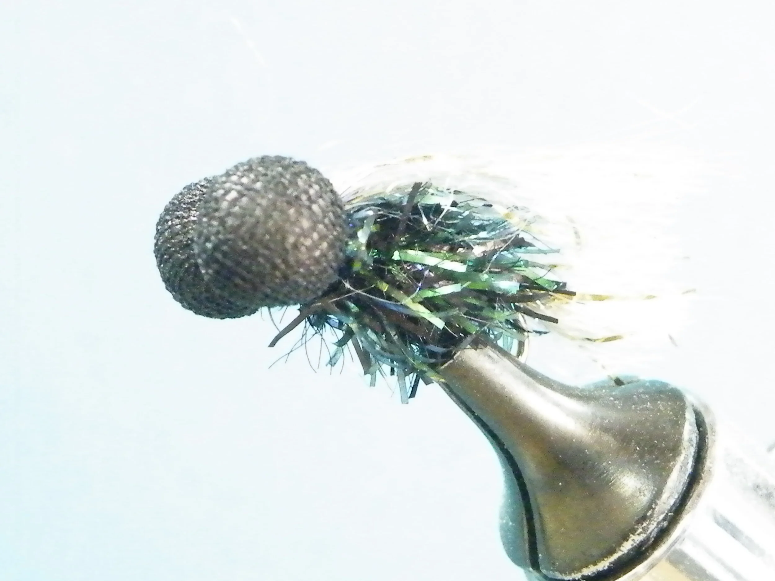 DSCF6049 STRAGGLE BLACK CAT BOOBY.JPG