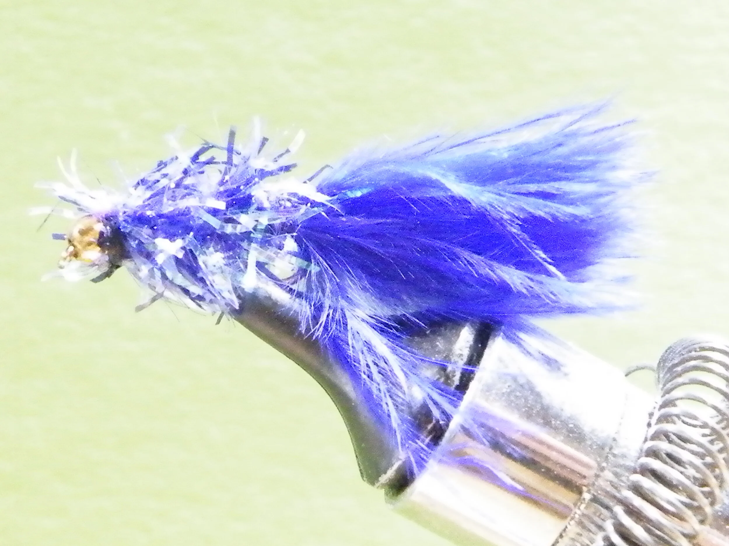 PURPLE SPARKLE LEECH.JPG