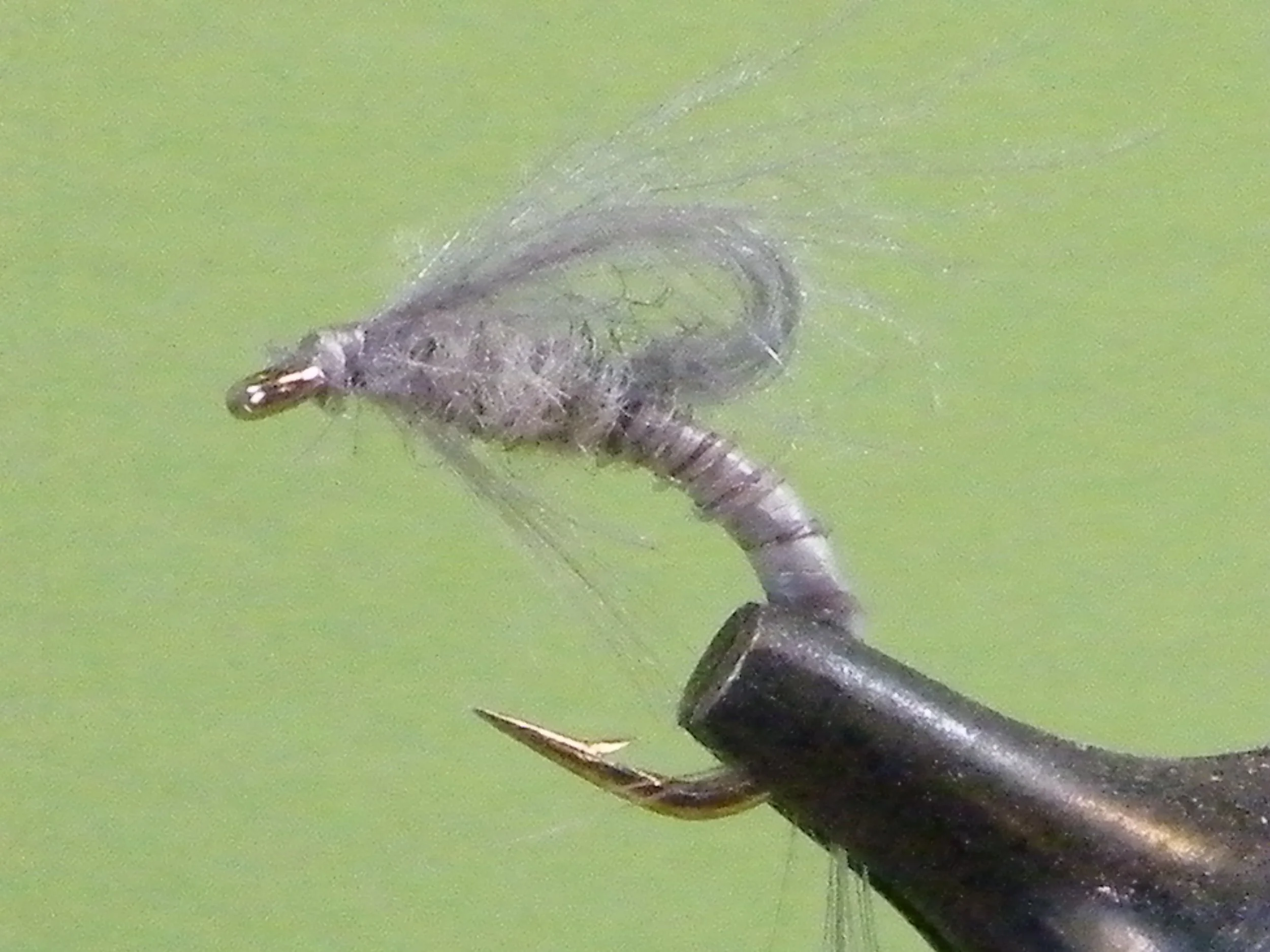GREY CDC LOOP EMERGER.JPG