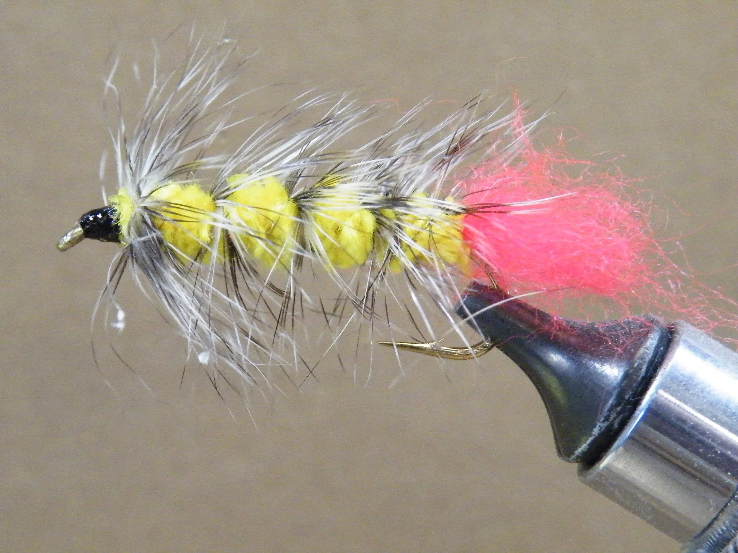 YELLOW GRIZZLY WOOLY WORM.JPG