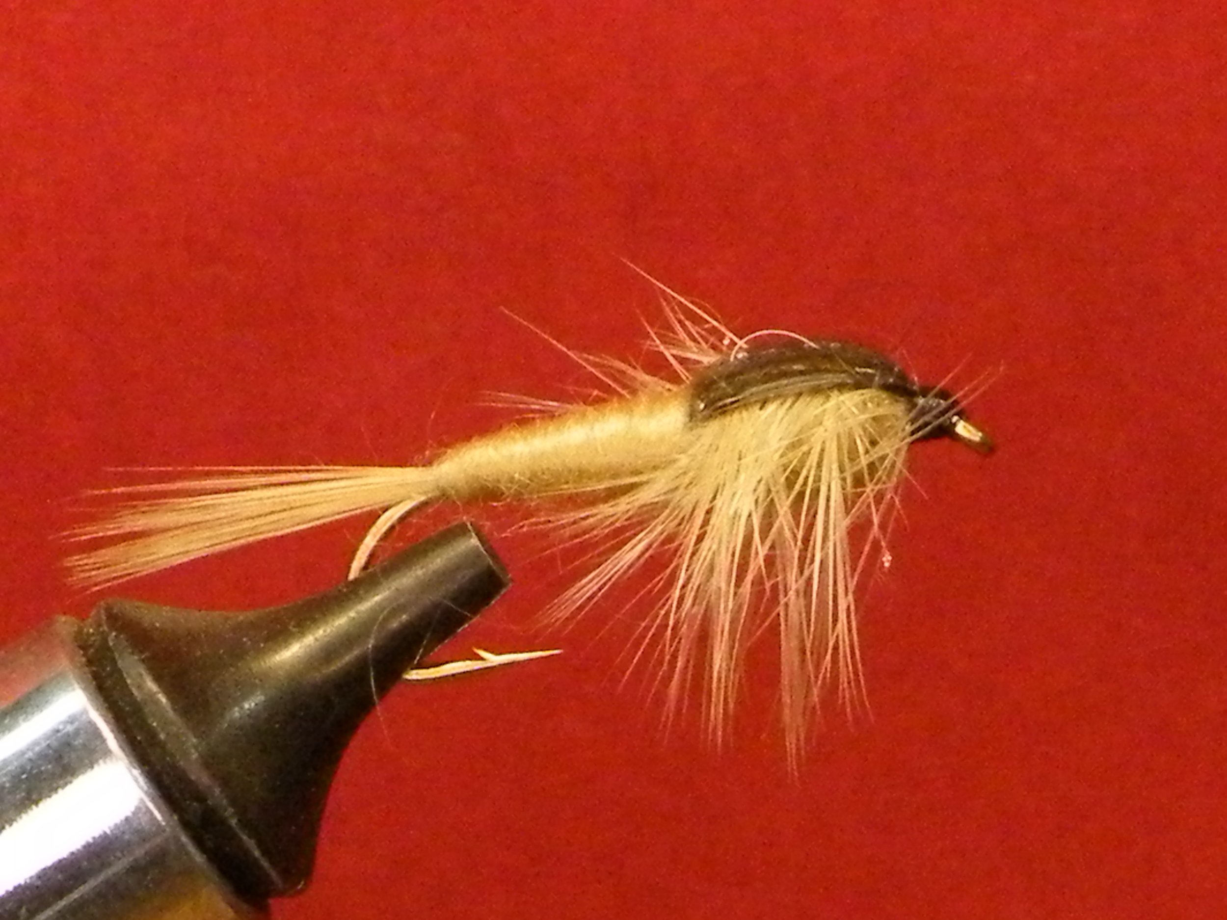 DOCTOR DAZOO TAN NYMPH LONG SHANK
