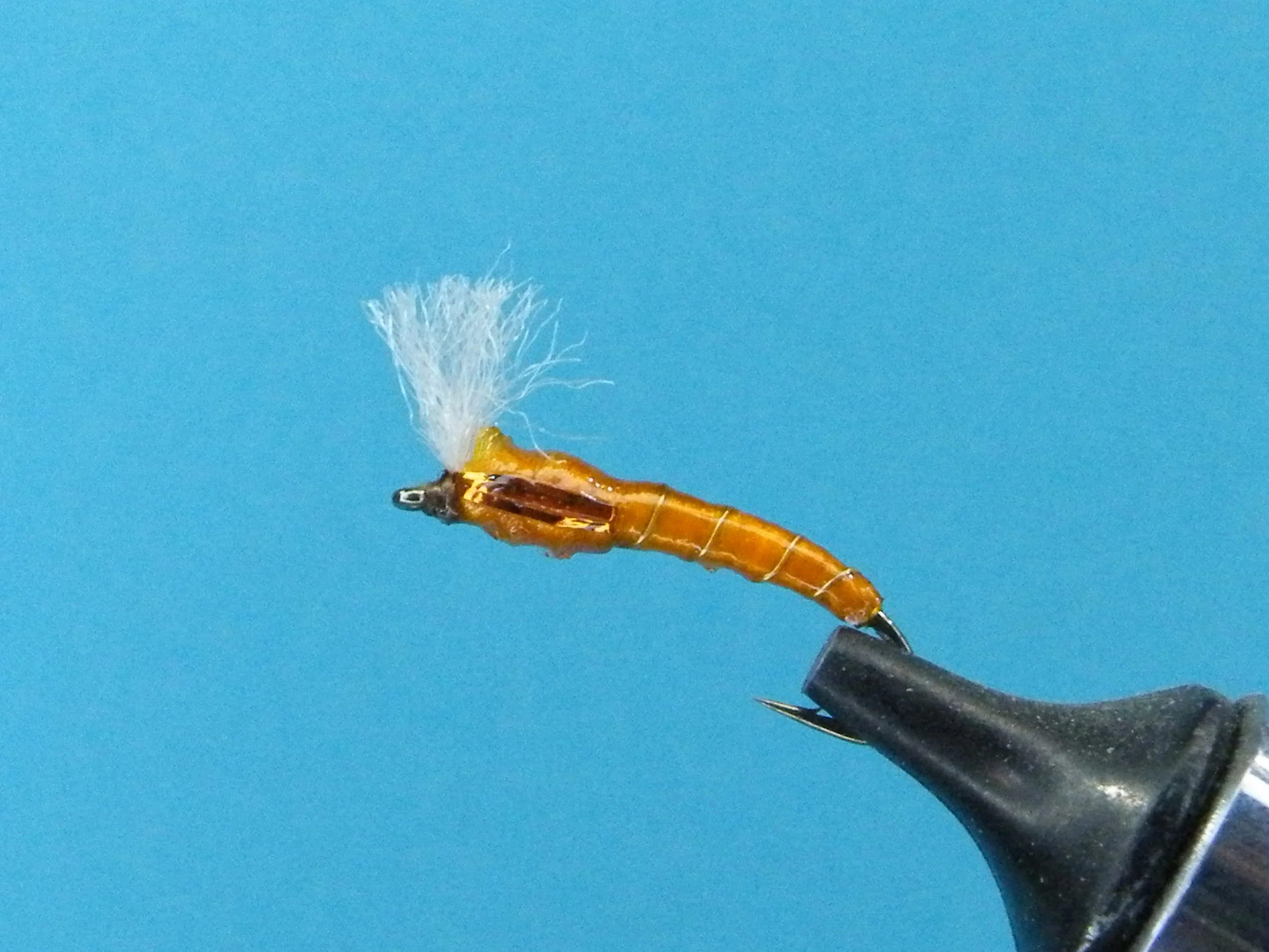 KELLY'S CHIRONOMID.JPG