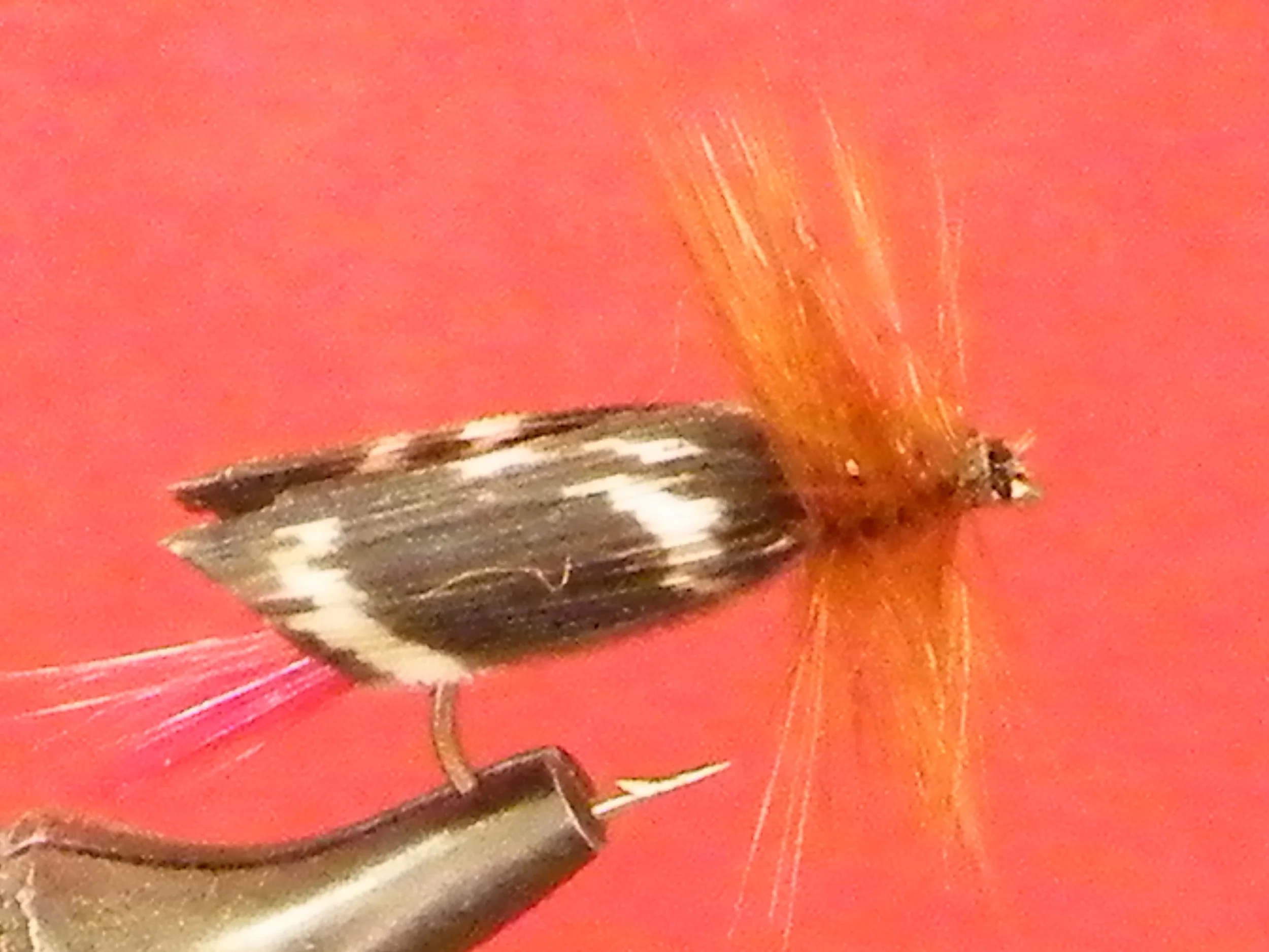 LLOYD'S BLACK BODY HOPPER