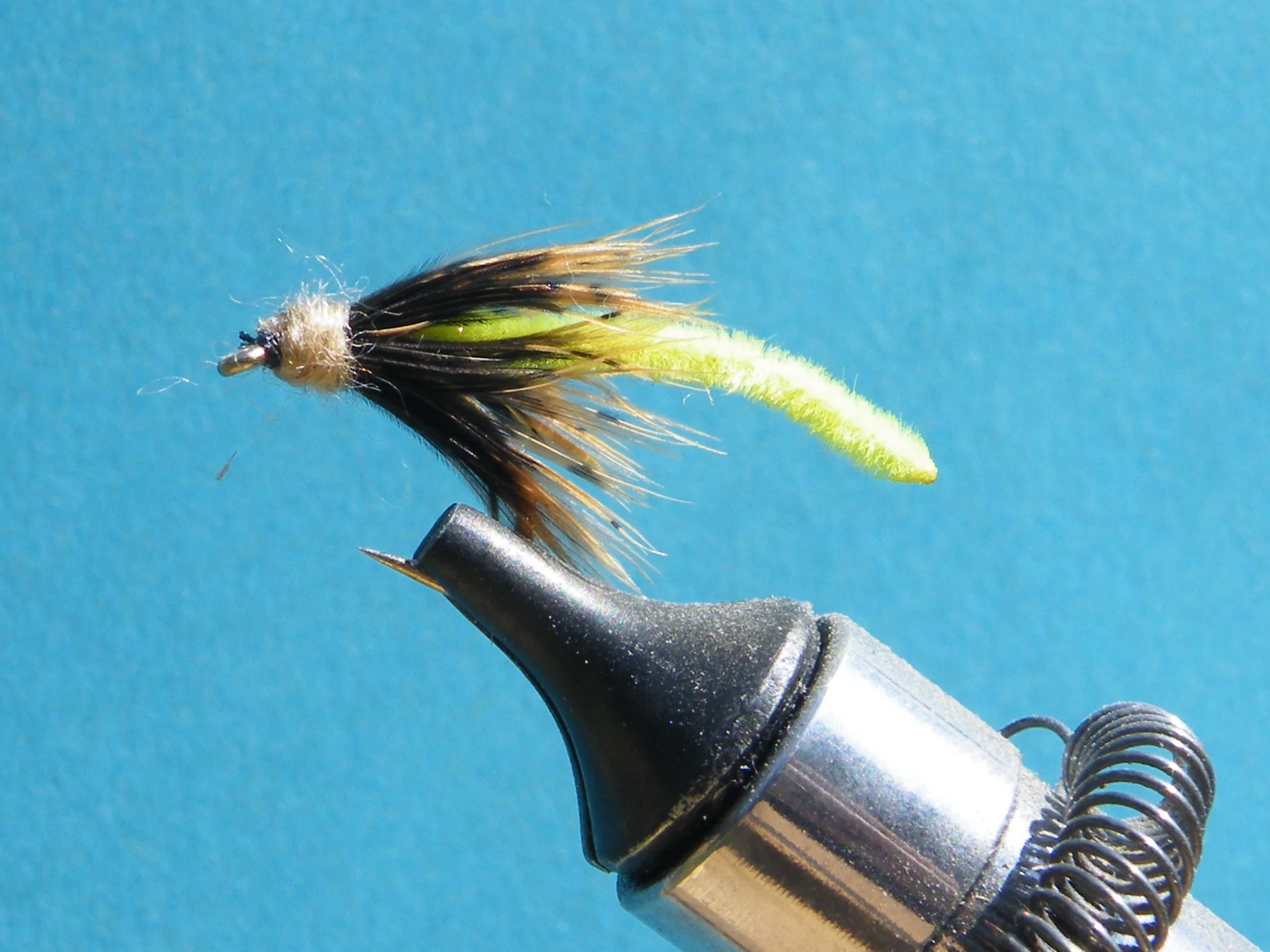 INSECT GREEN CADDIS.JPG