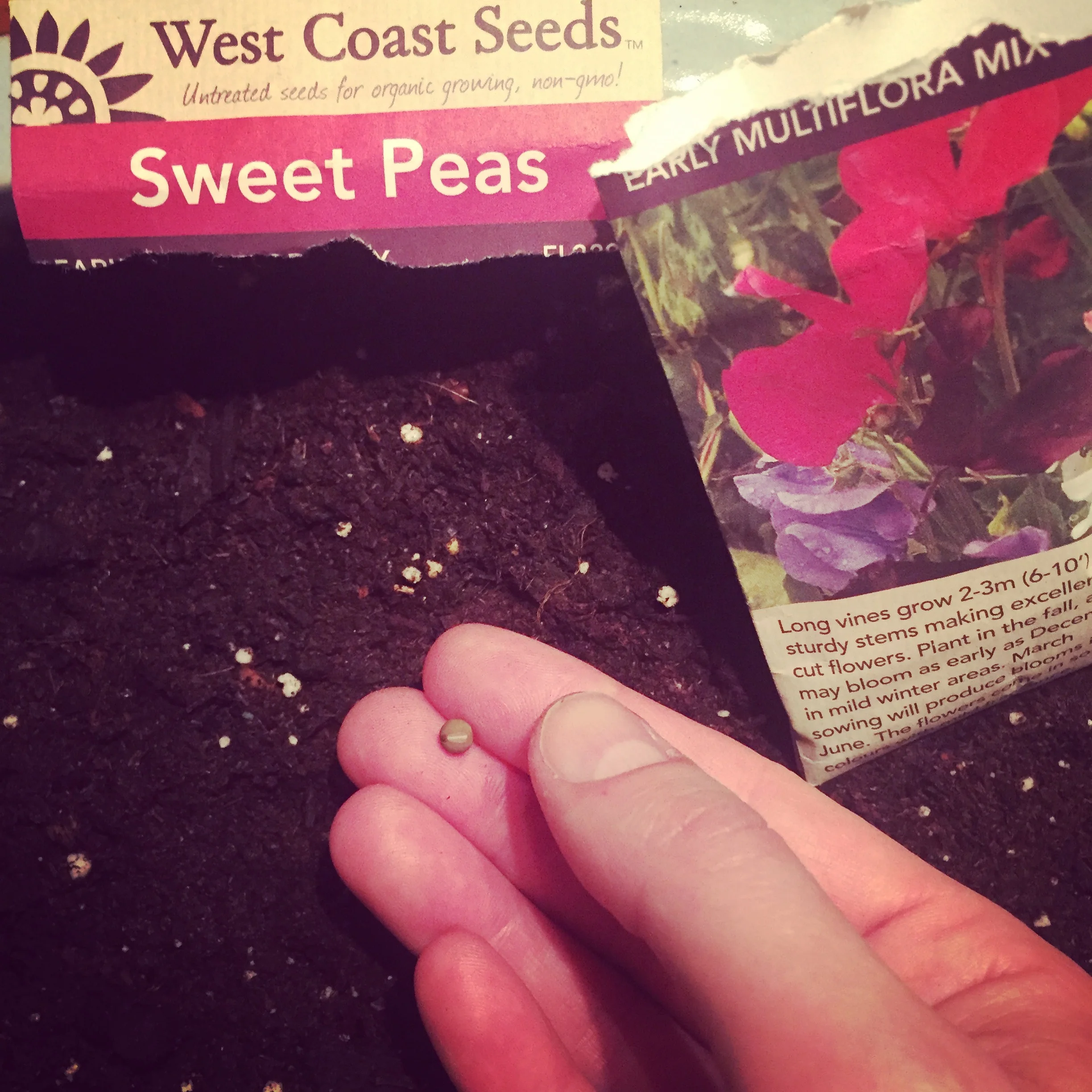 Thoughts on Control, Teetering and Almost-Spring