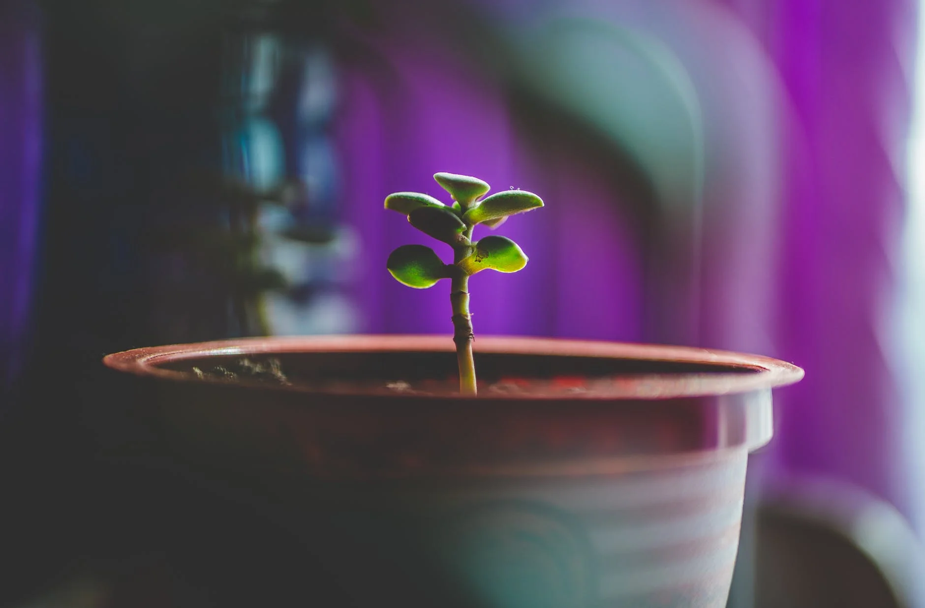 Breaking Through: A Poem For Embracing The Season