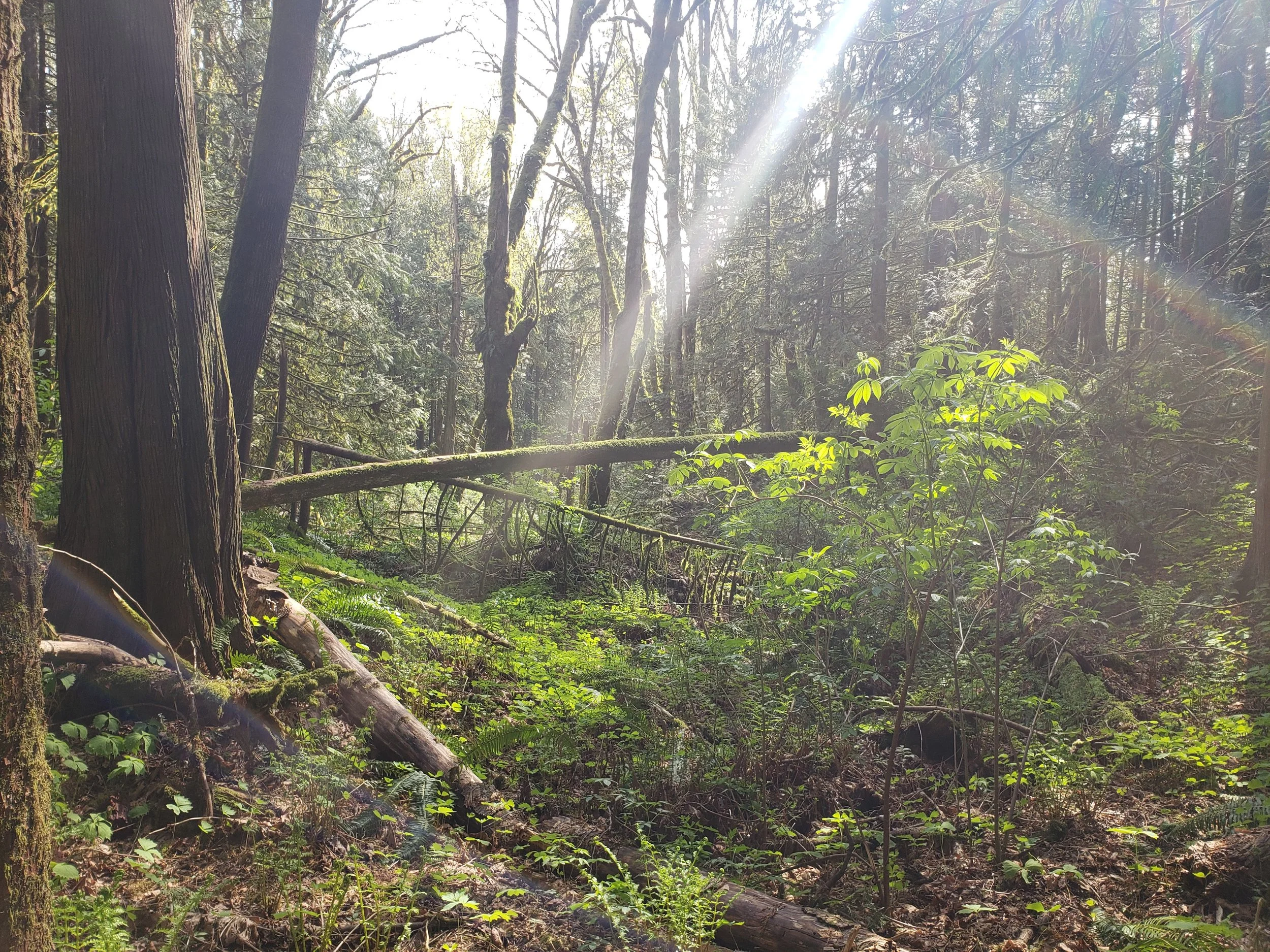 On Writing: The Questions I Have Yet to Ask