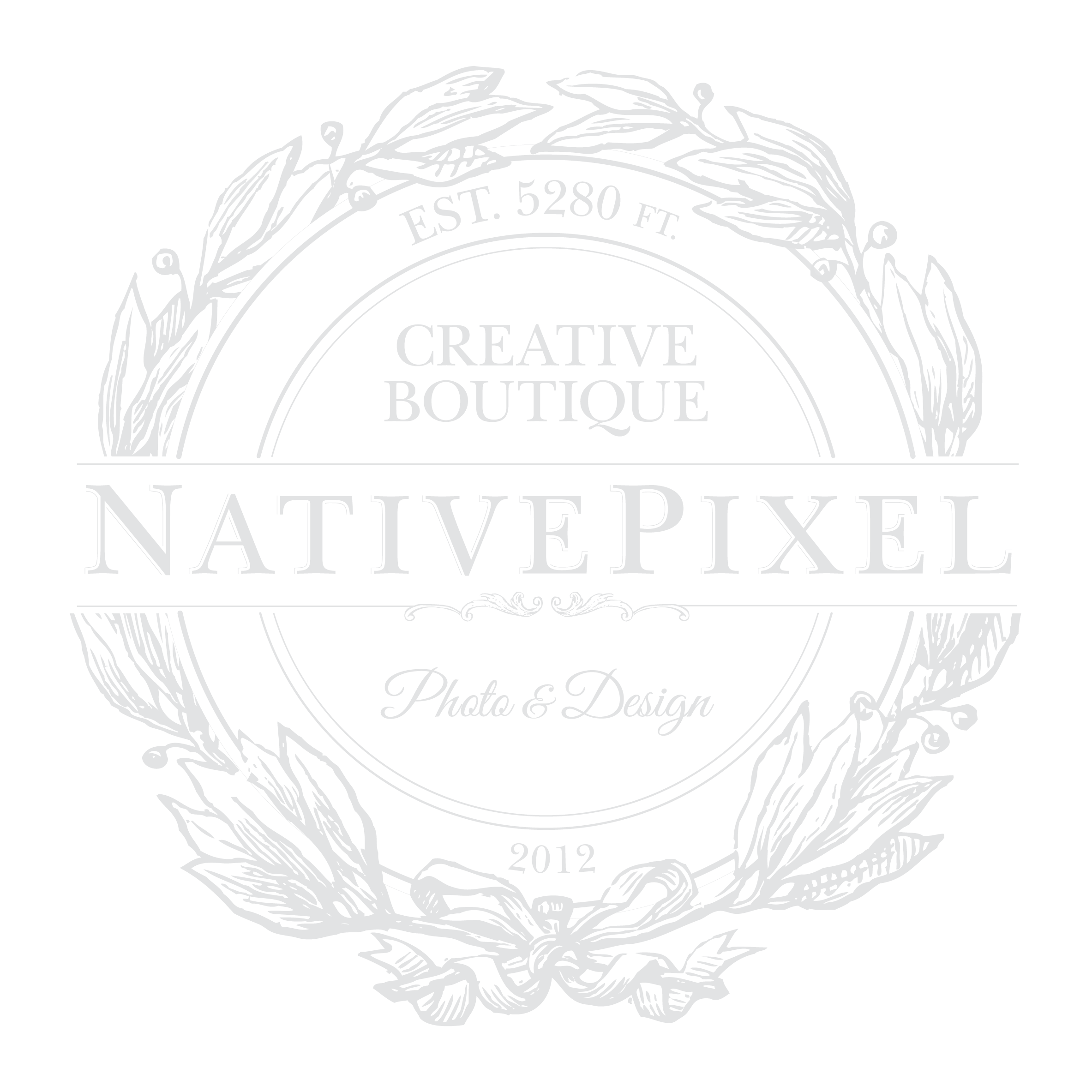nativepixel_trans.png