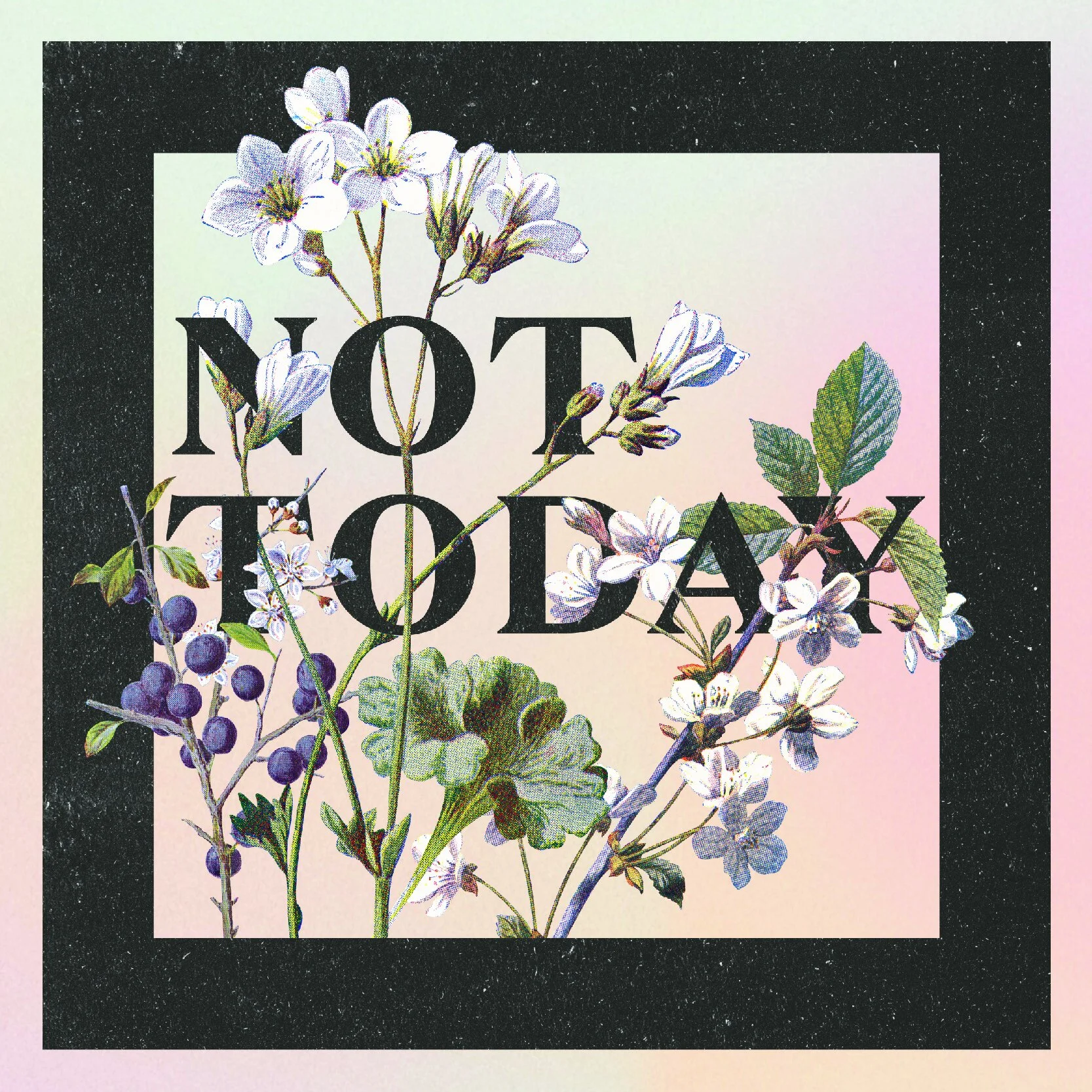 nottodayholo-01.jpg