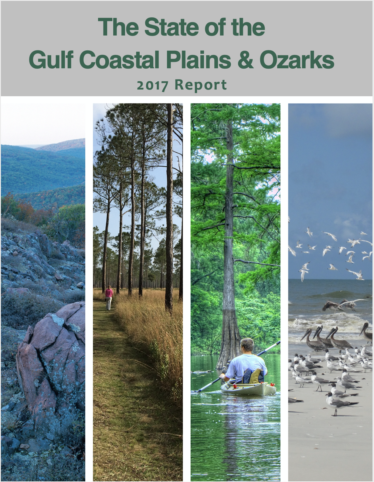 State of the Gulf Coastal Plains &amp; Ozarks