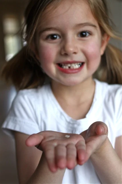 64 of 365 of 2011.jpg