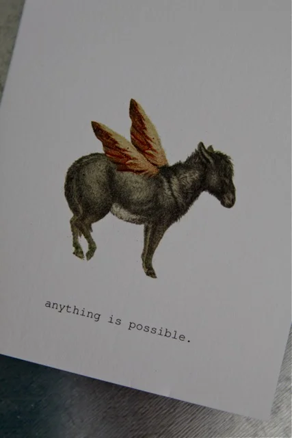 215 of 365 of 2011.jpg