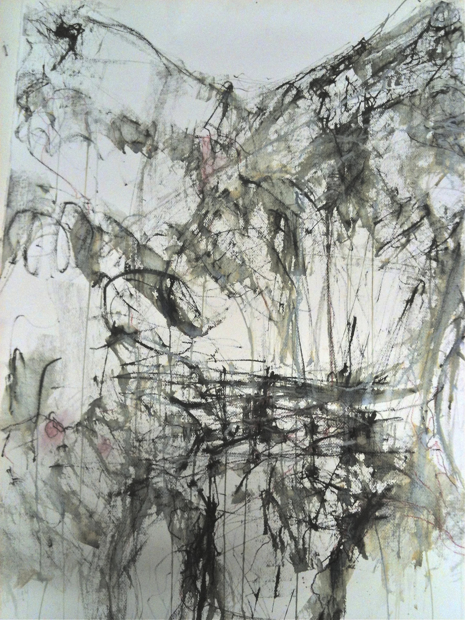 120cm x 90cm, Ink, Charcoal, graphite on paper 2013
