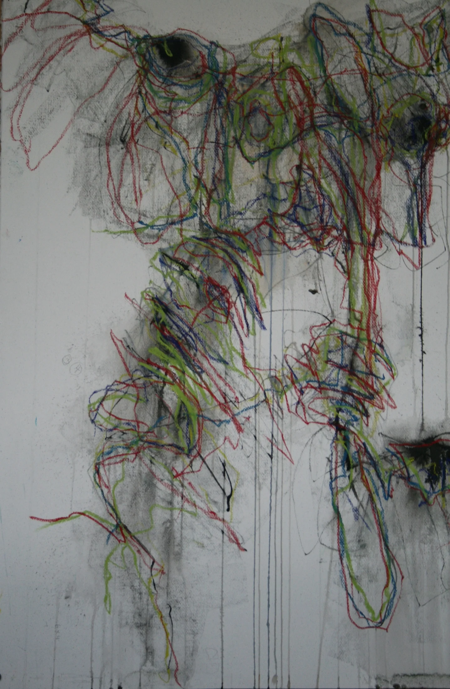 120cm x 90cm, Ink, Charcoal, graphite on paper 2013