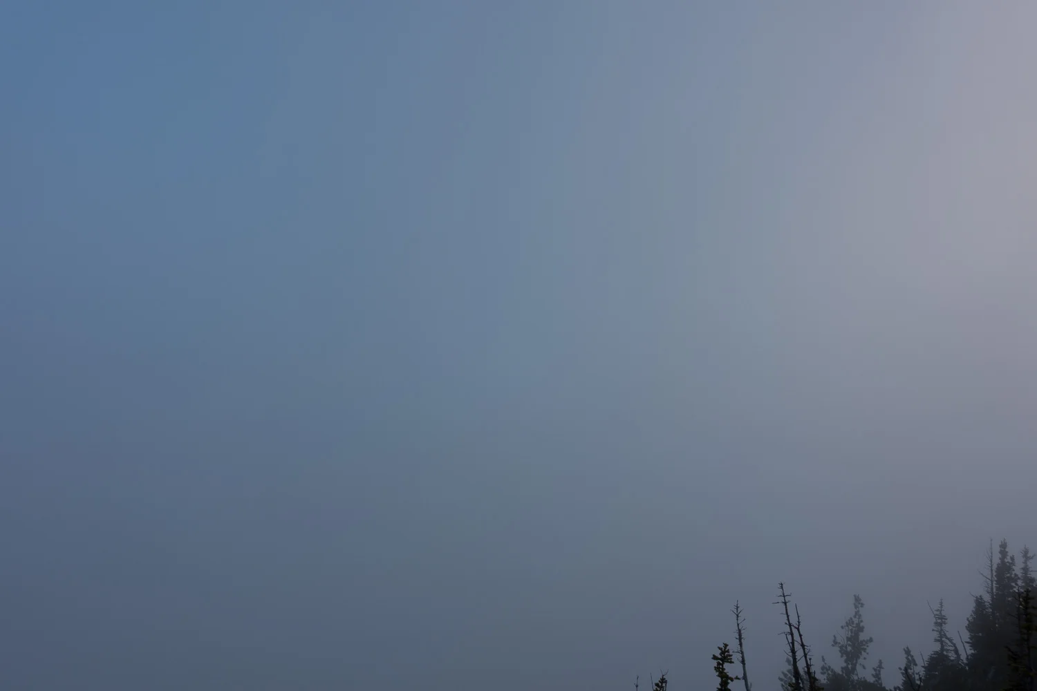 Fog at Burroughs Mountain