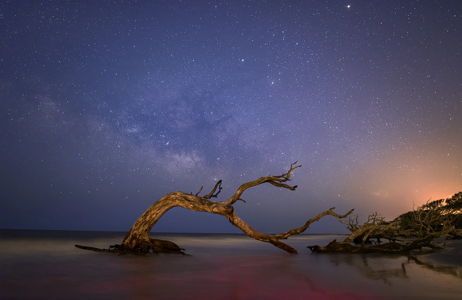Taken at Driftwood Beach, towards the north section of Jekyll Island, Georgia. Taken towards the end of blue hour, with the Milky Way just about showing up.