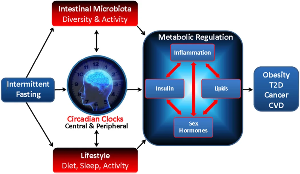 https://www.ncbi.nlm.nih.gov/pmc/articles/PMC4516560/figure/F1/