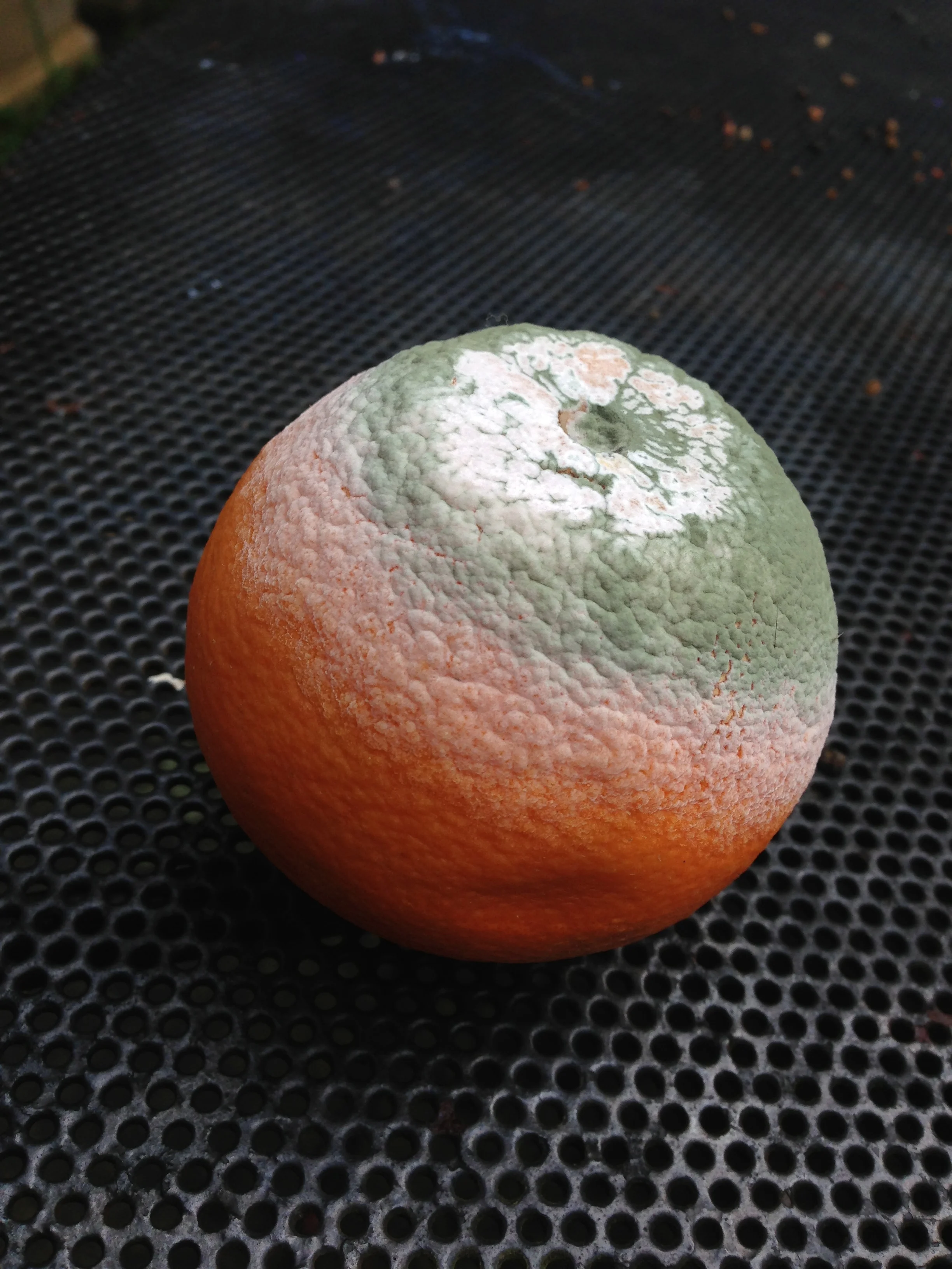 Recipe for a crappy experience