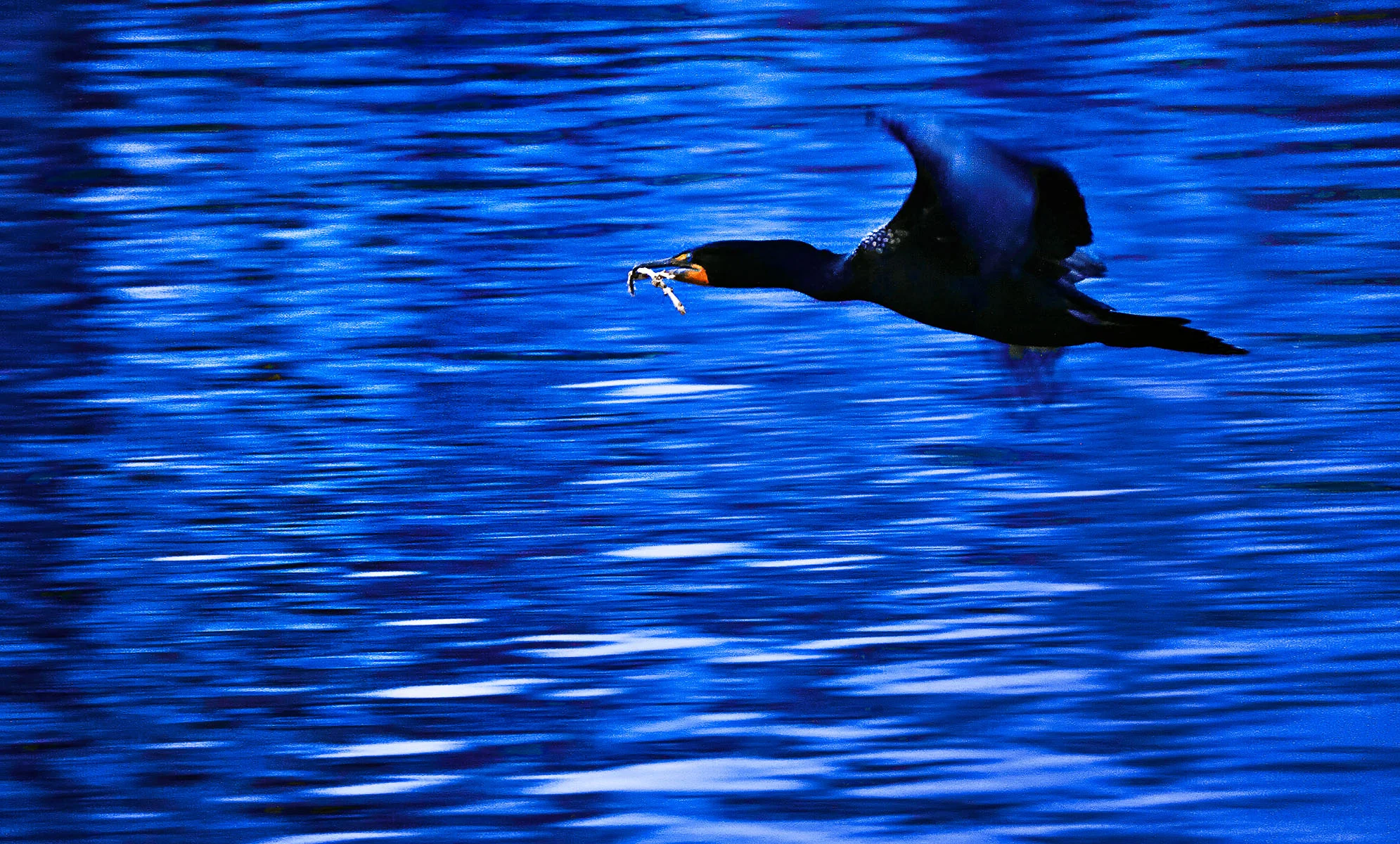 Motion + White Balance = Cool!