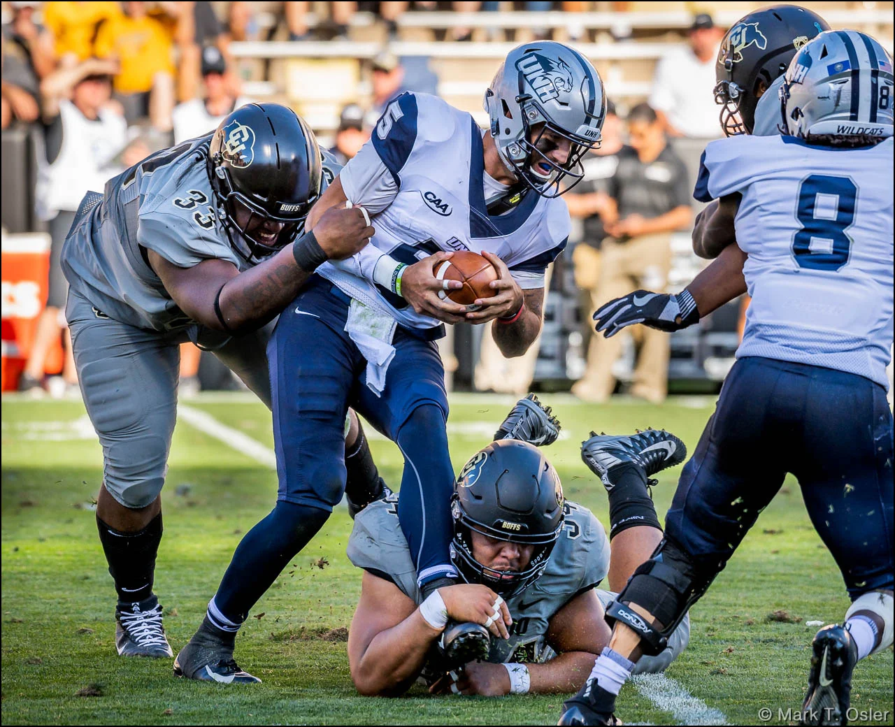 UNH quarterback Christian Lupoli is sacked for a 6-yard loss by CU defensive tackle Javier Edwards (#33) and defensive end Mustafa Johnson (#34, on ground) on UNH’s first play of the third quarter.