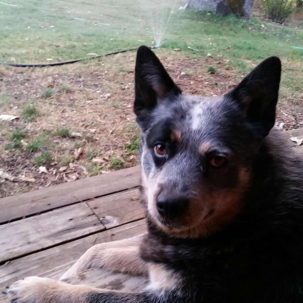  Betty, the Grande Dame of Sweetwater 