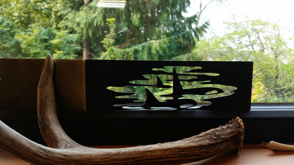 NikkiM-studio4.jpg