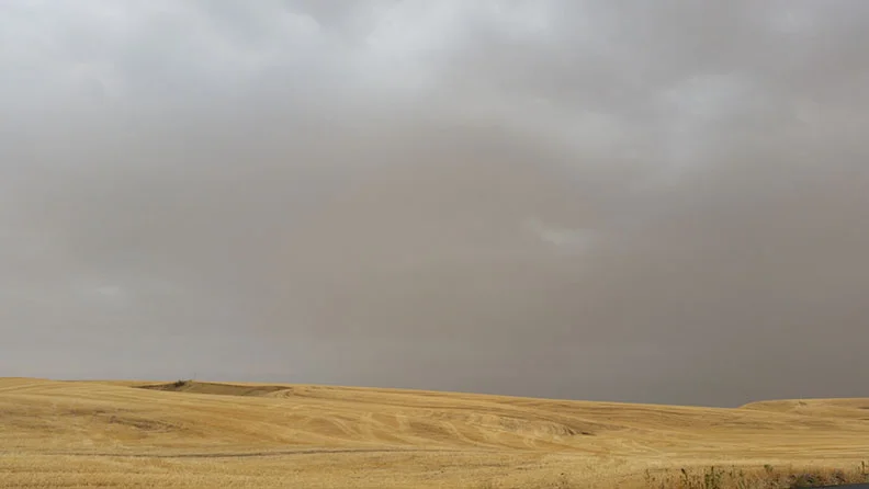 The Palouse against the backdrop of a smoky sky...yes, that's smoke and not just a cloudy day.