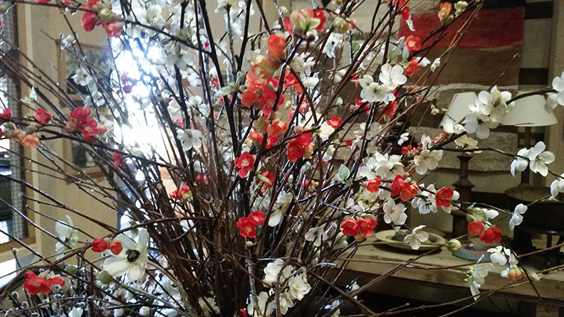 20150826_085925sm.jpg