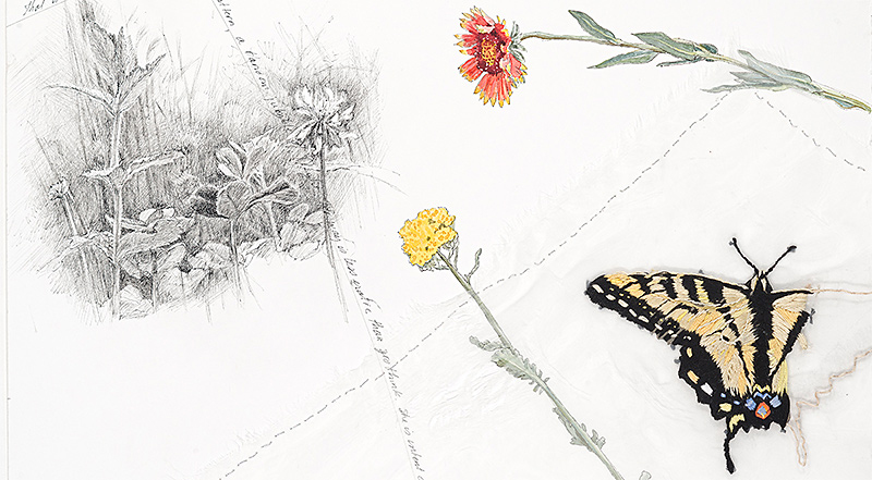 Susan-Guevara-Swallowtail-header.jpg
