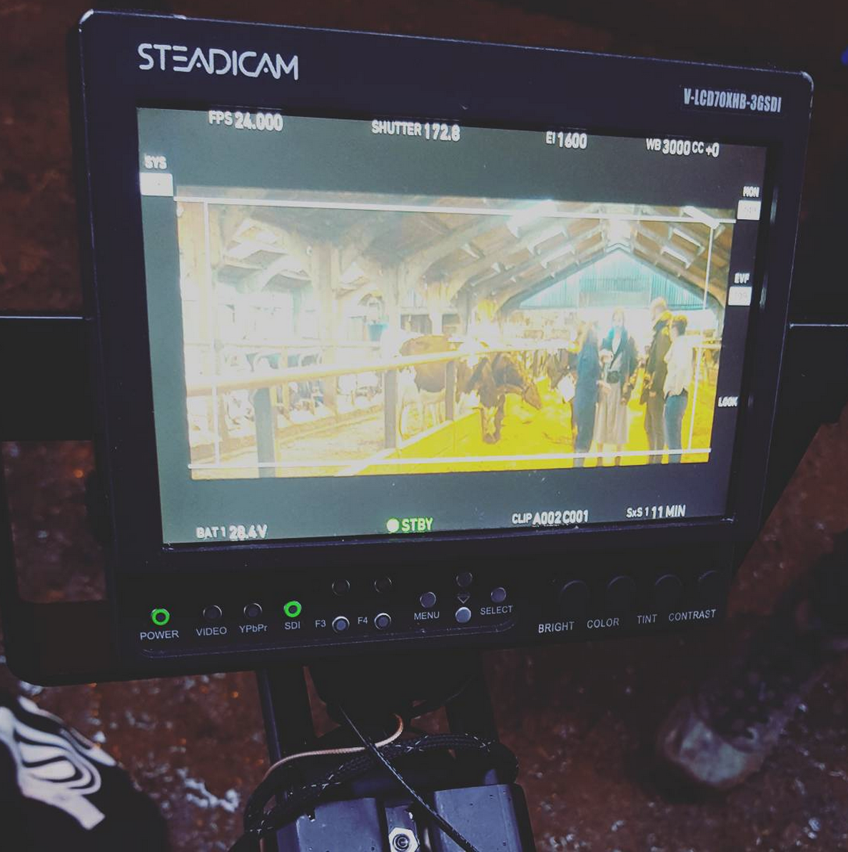 Shooting on a dairy farm