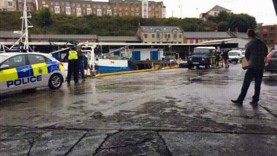 IMG_2211 (4).gif