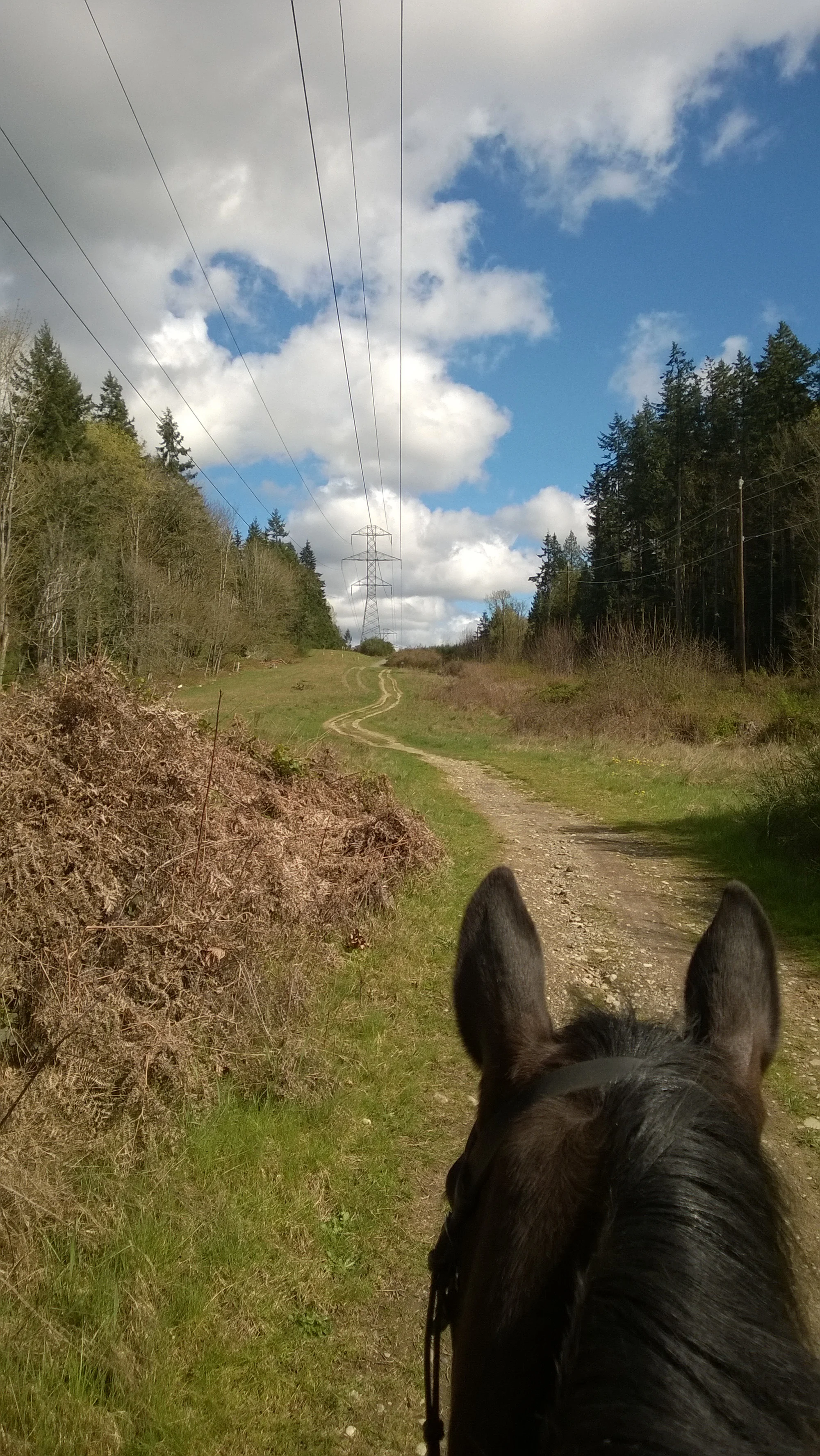 WP_20150328_007.jpg