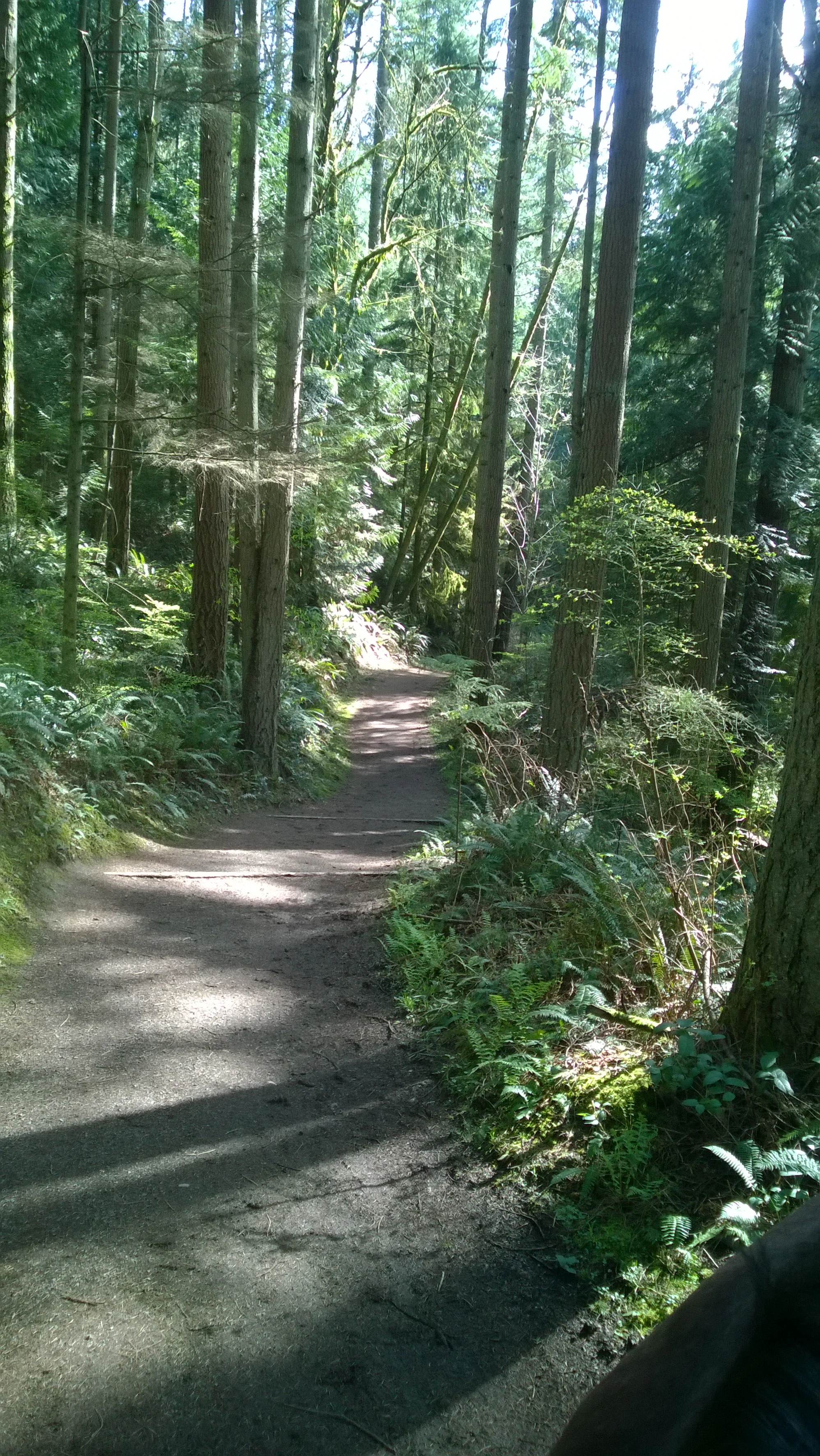 WP_20150328_047.jpg