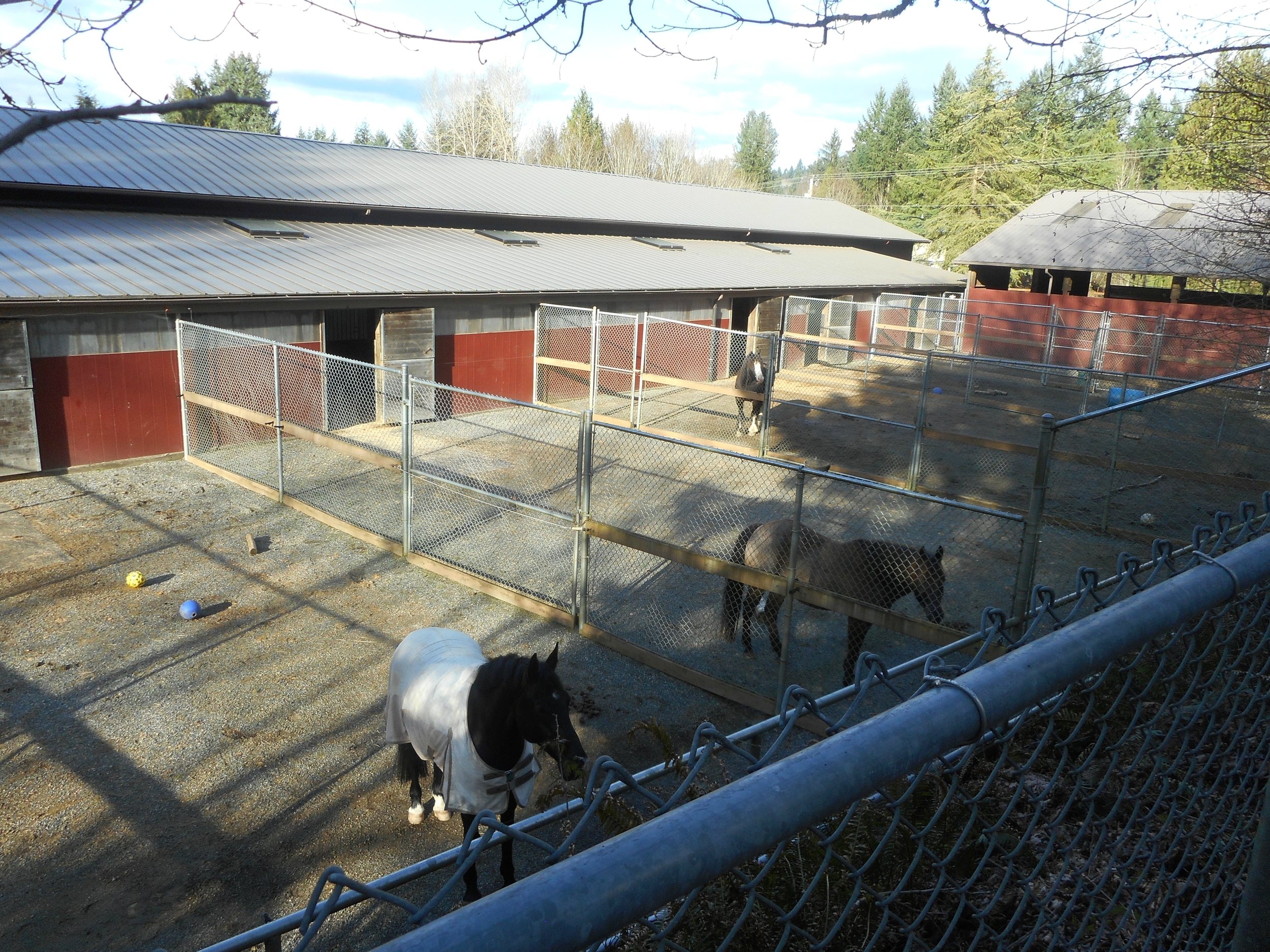 paddocks adjoining back stalls