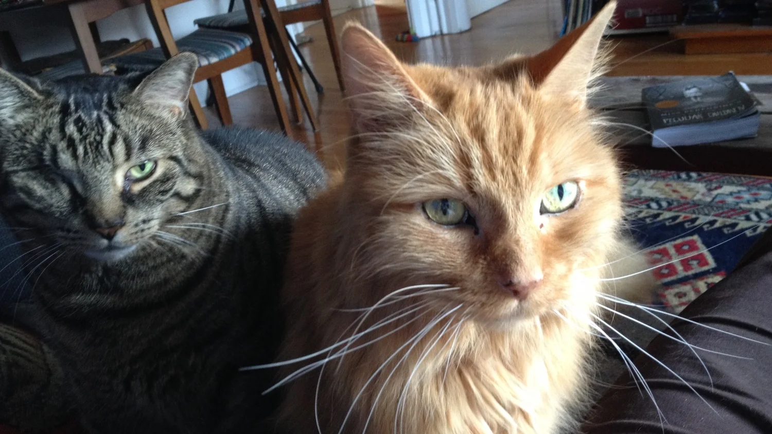 Engelbert and Daphne